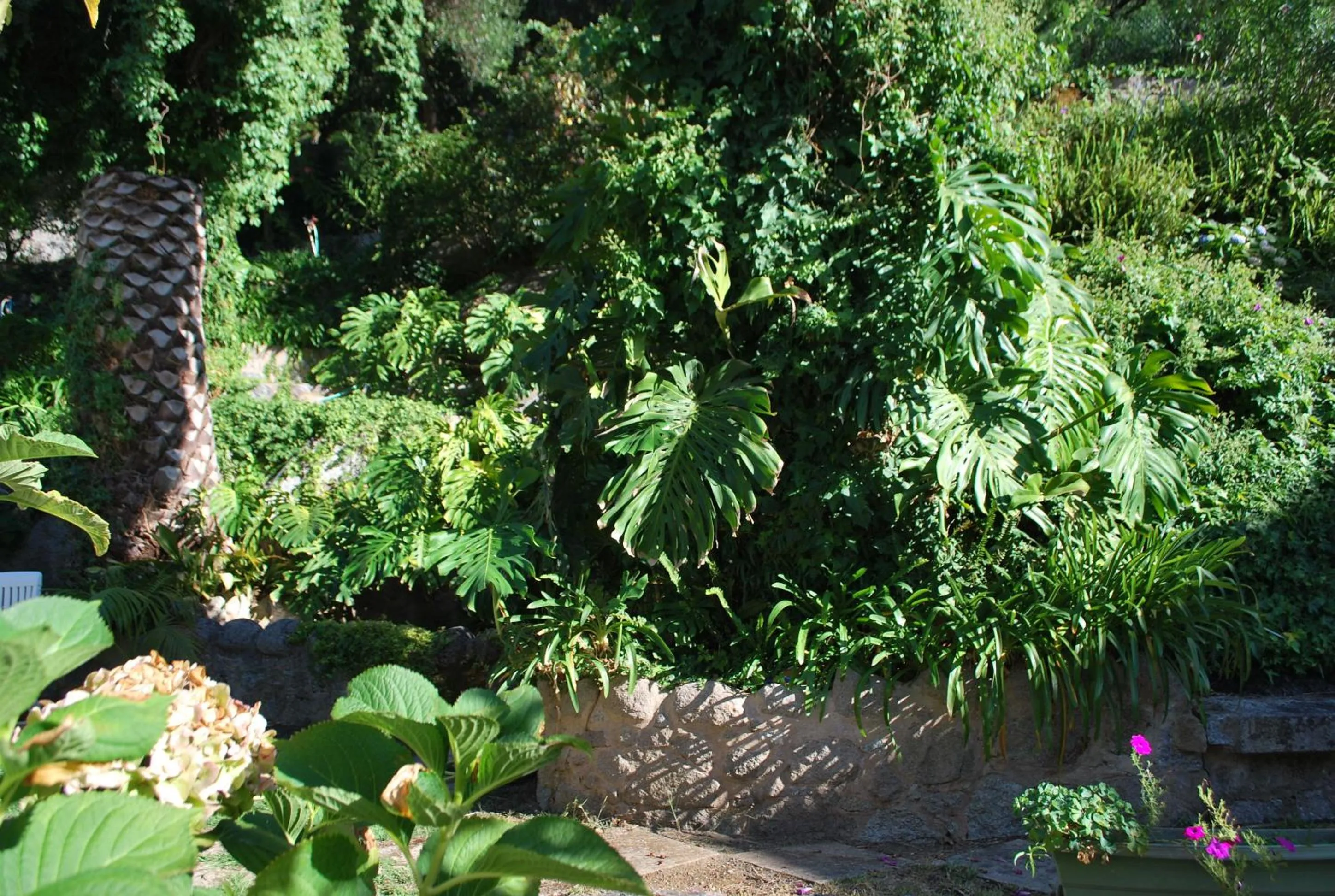 Garden in Albergaria do Lageado