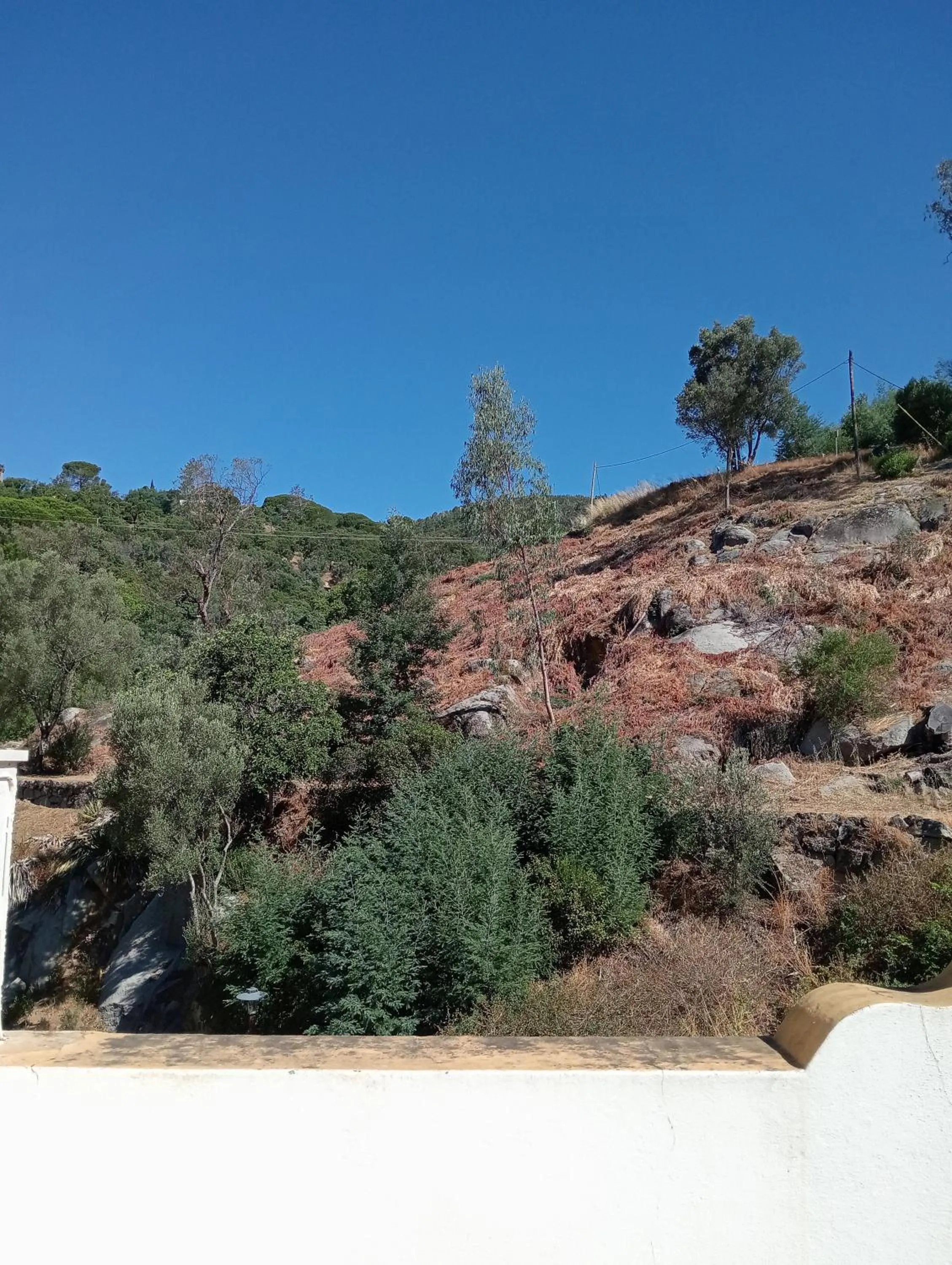 Balcony/Terrace in Albergaria do Lageado