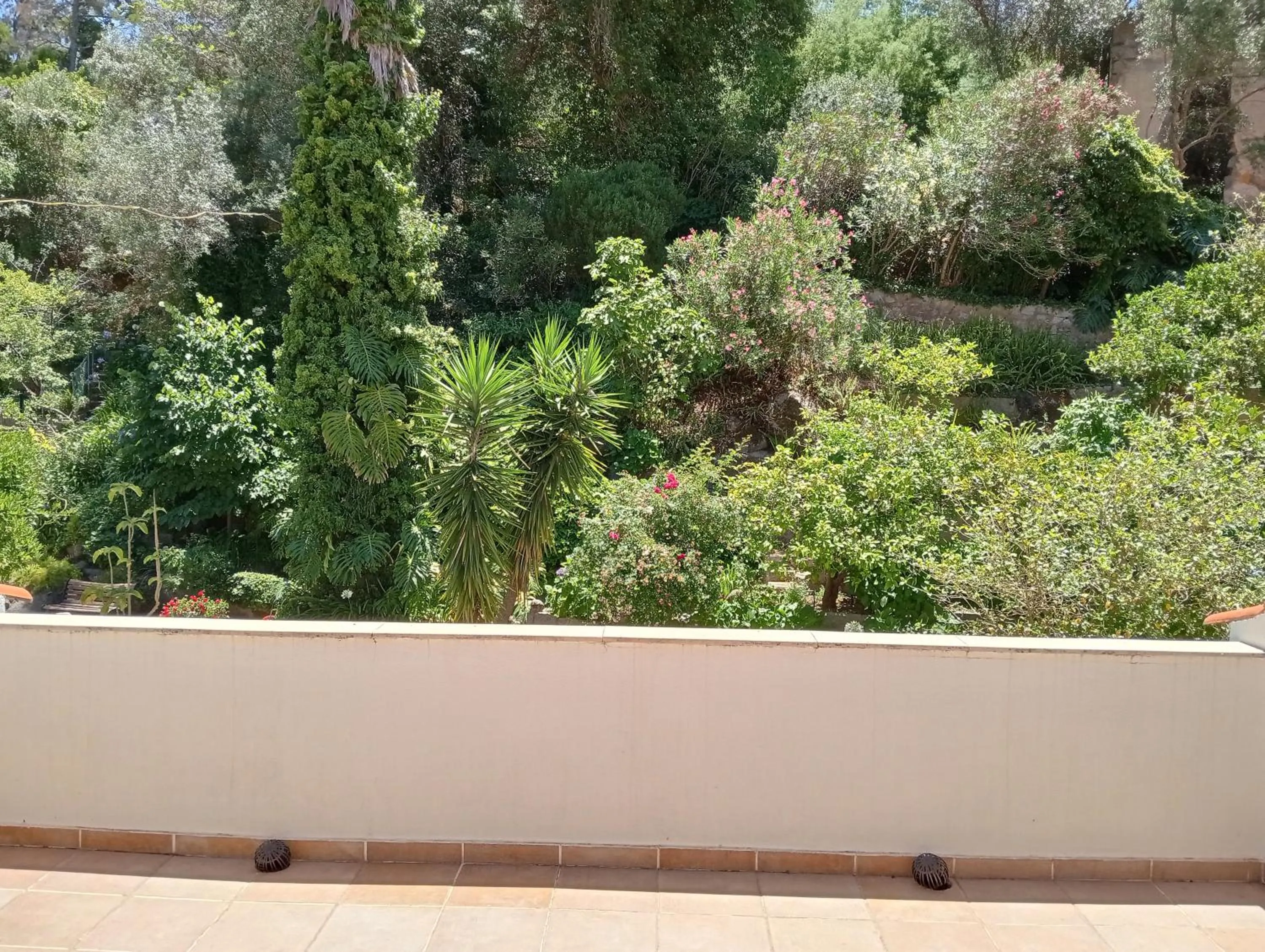 Balcony/Terrace in Albergaria do Lageado