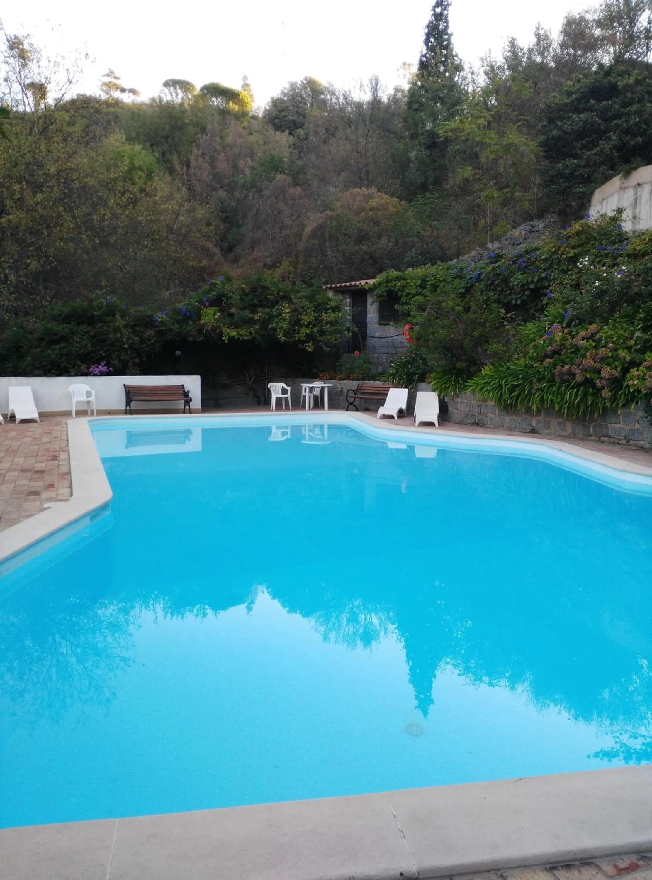 Swimming pool in Albergaria do Lageado