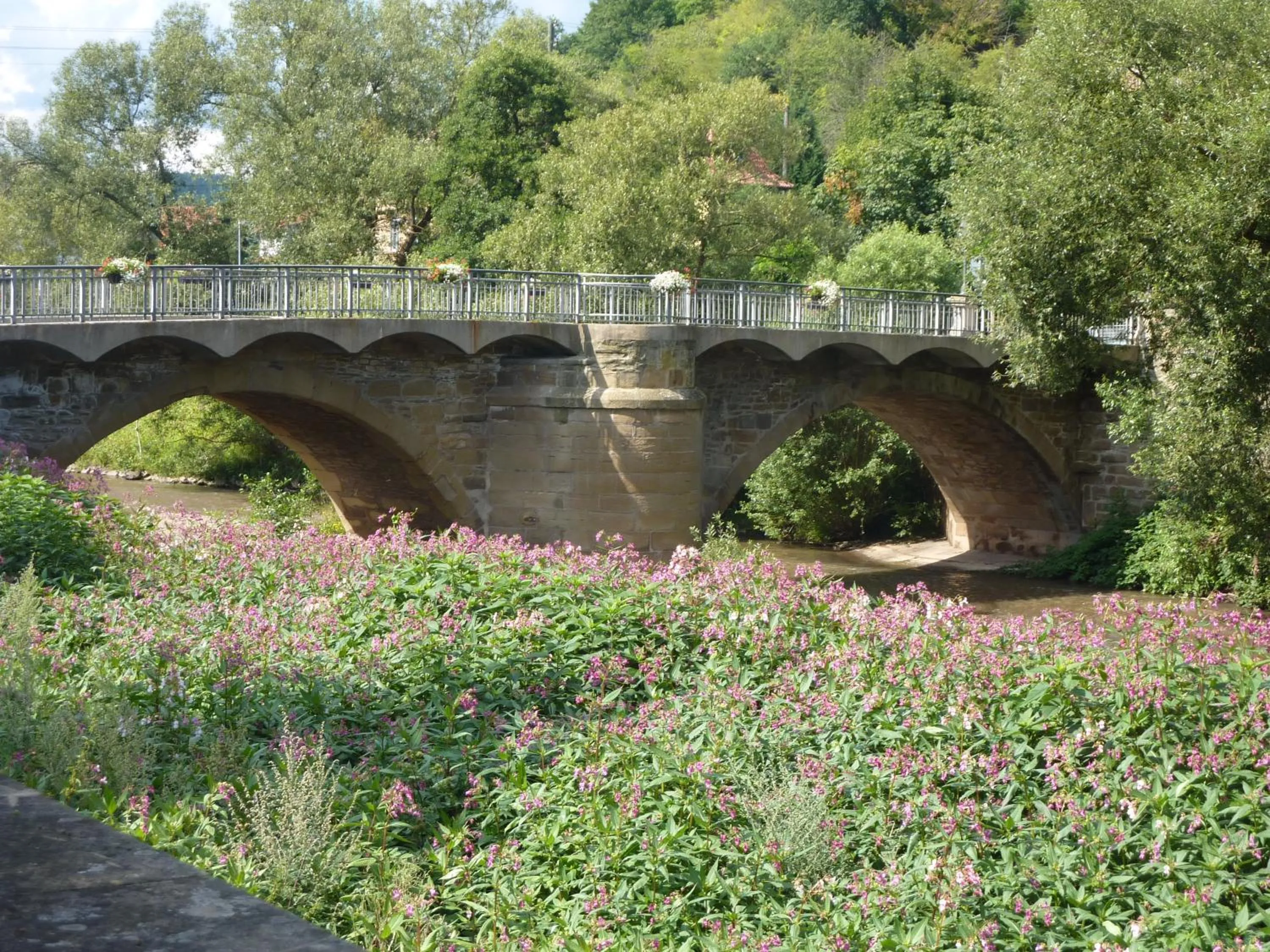 Hiking in Hotel Burgblick
