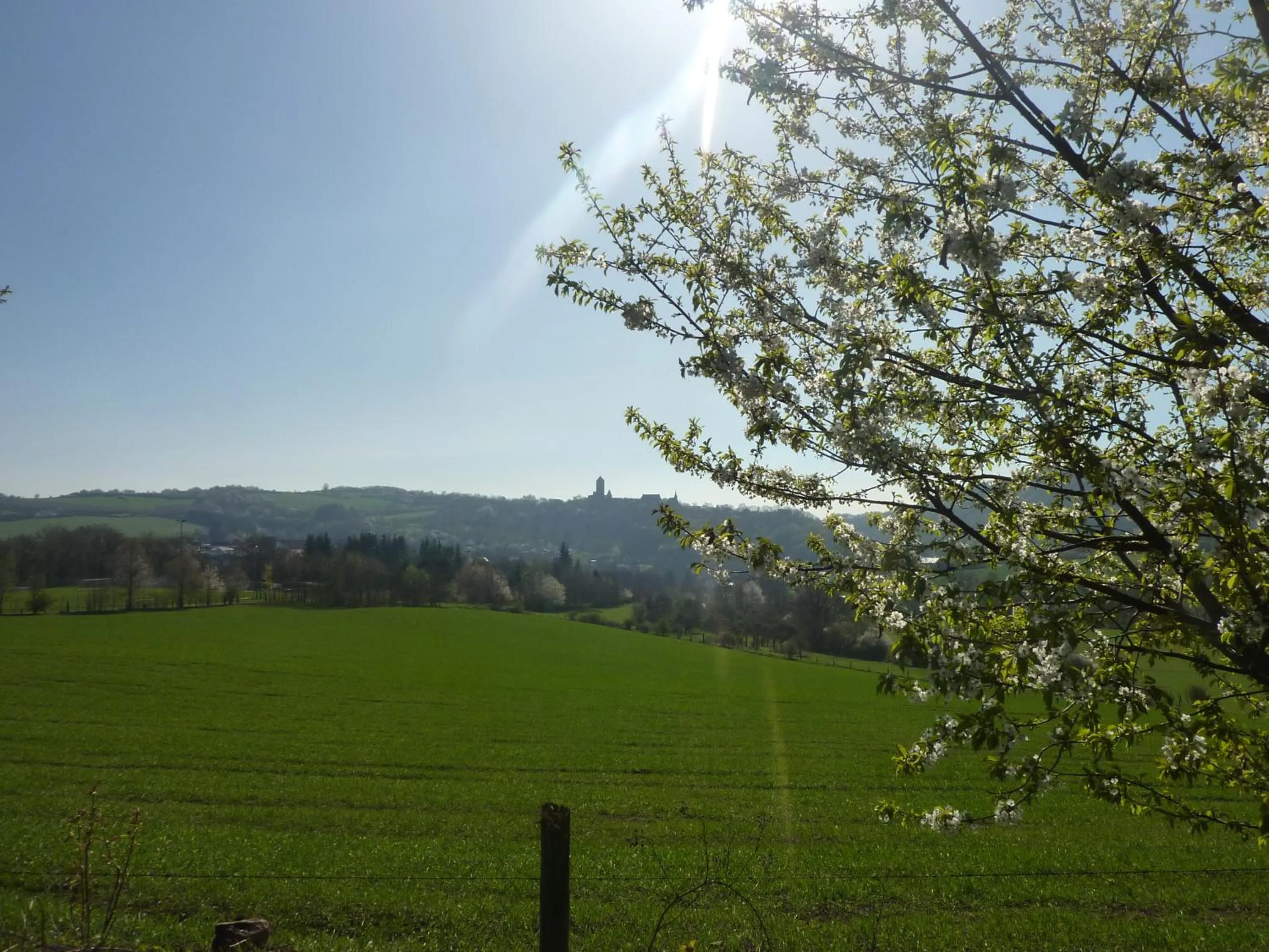 Nearby landmark in Hotel Burgblick