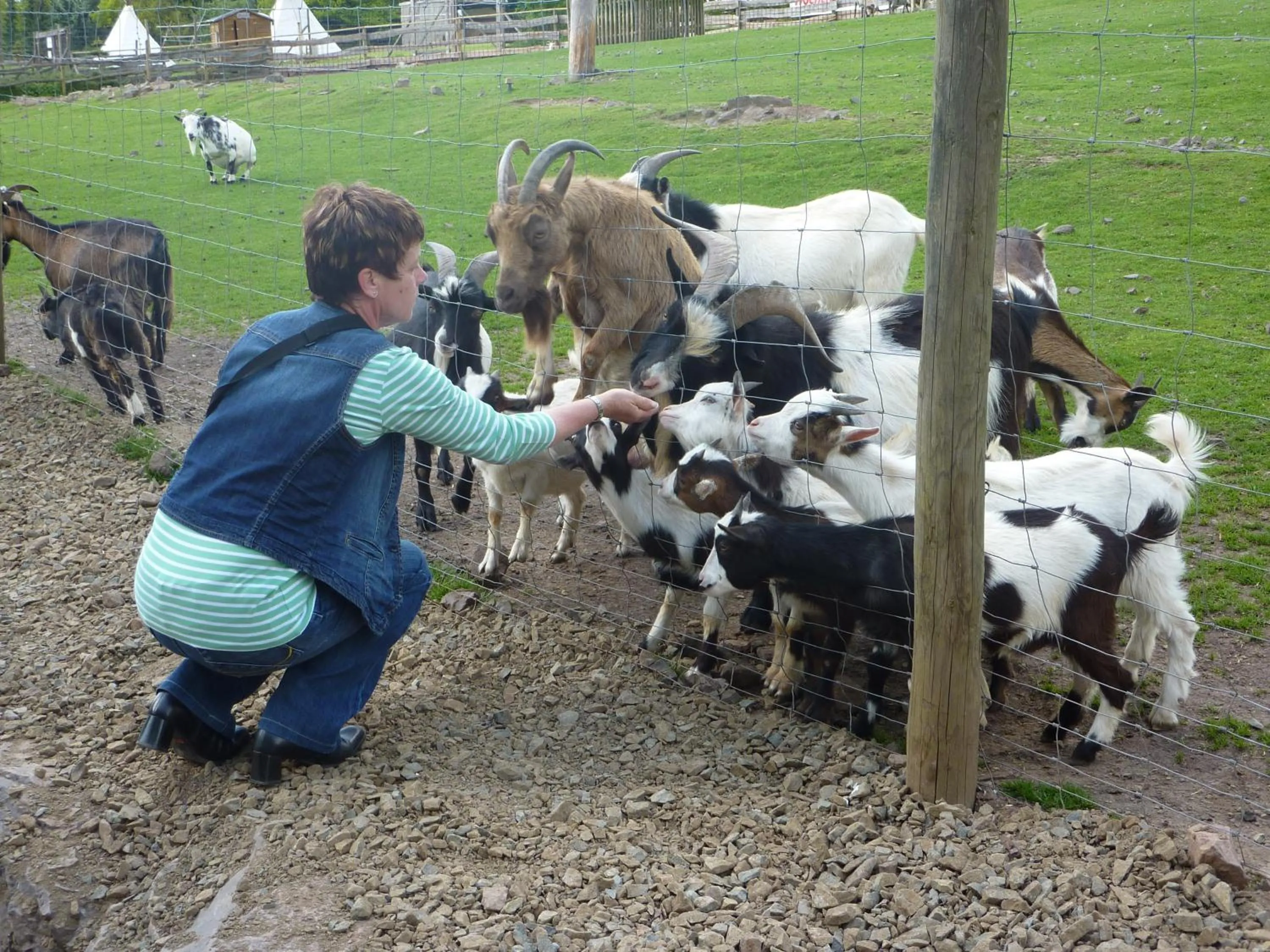 Nearby landmark in Hotel Burgblick