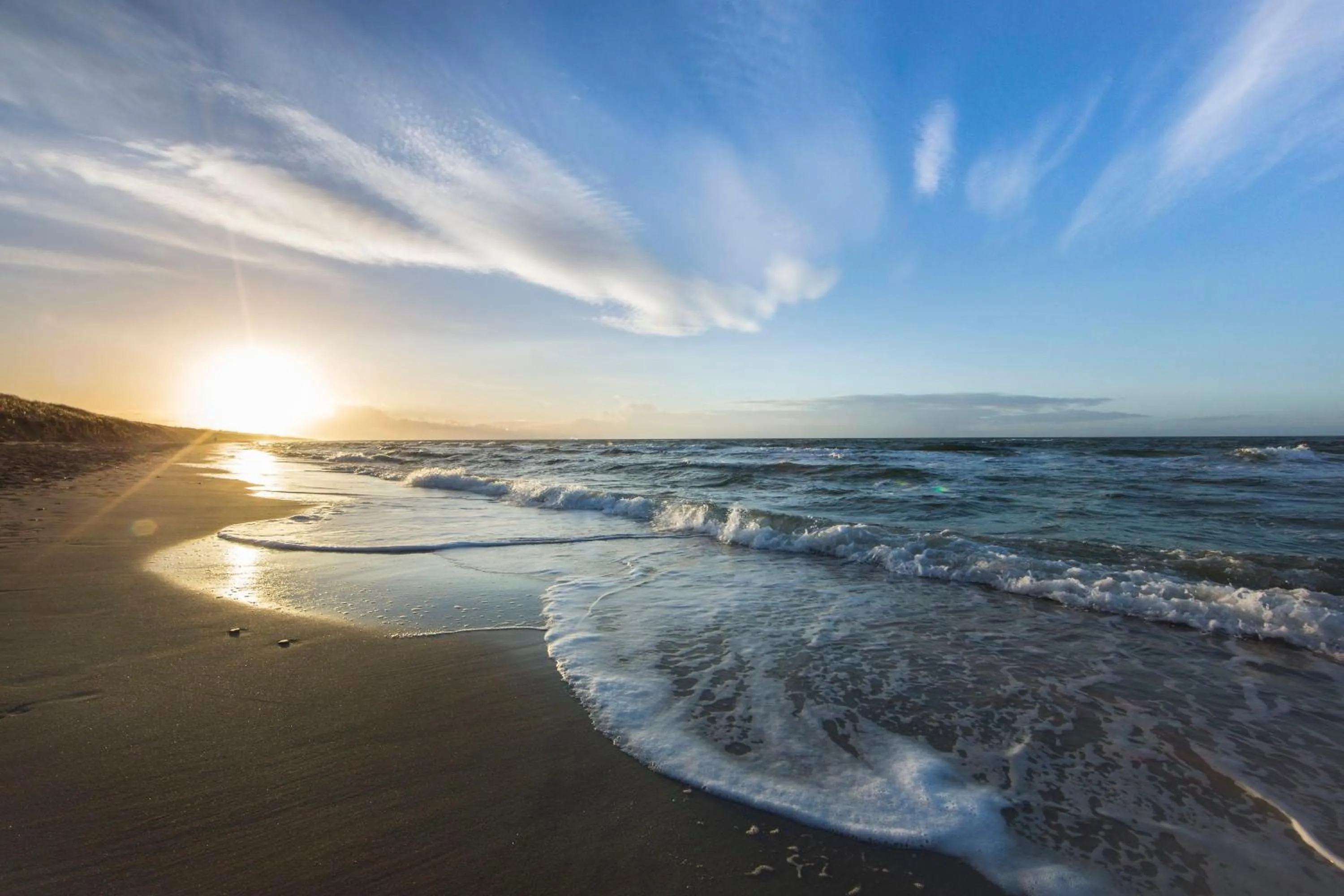 Beach in Strandhotel Fischland