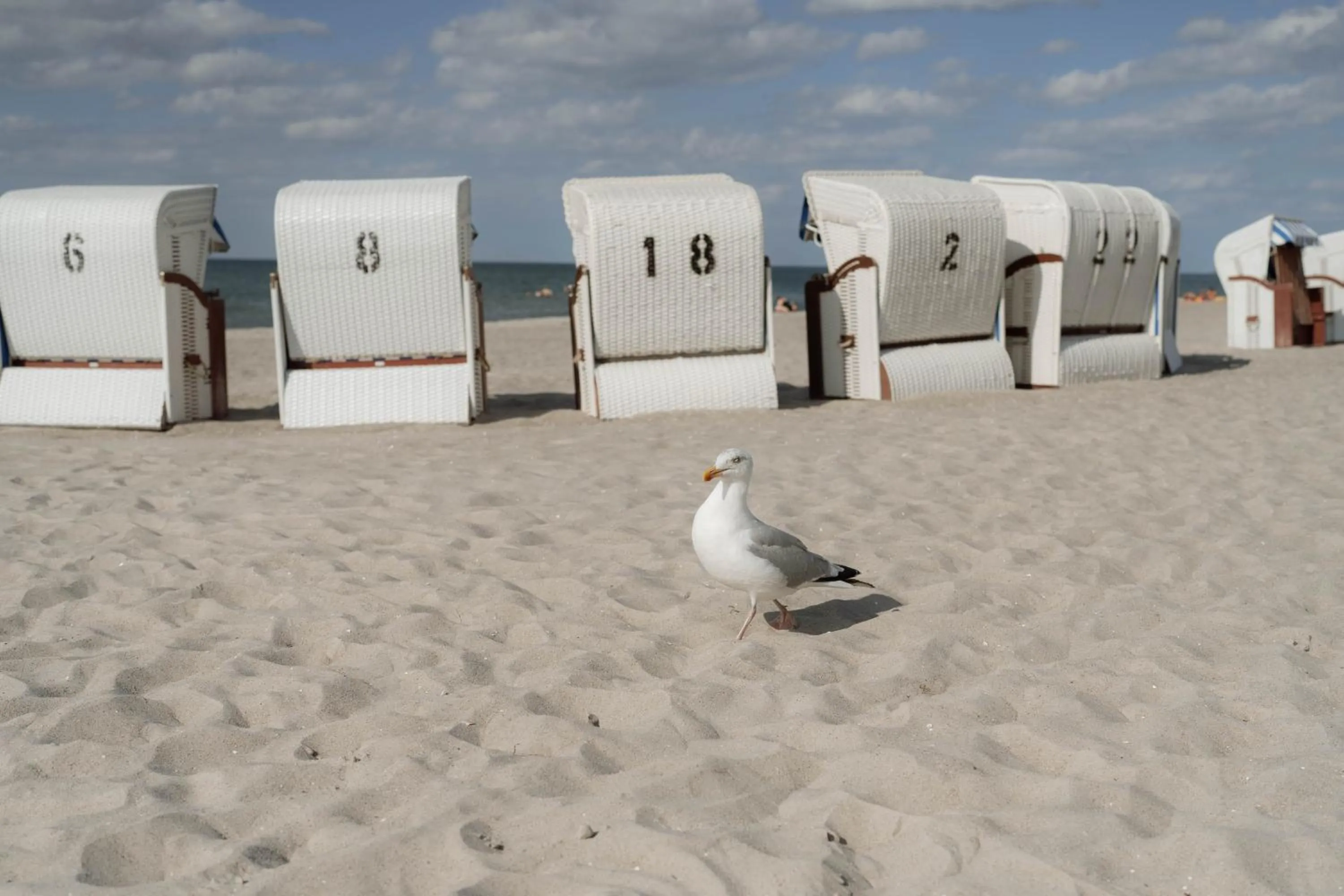 Beach in Strandhotel Fischland