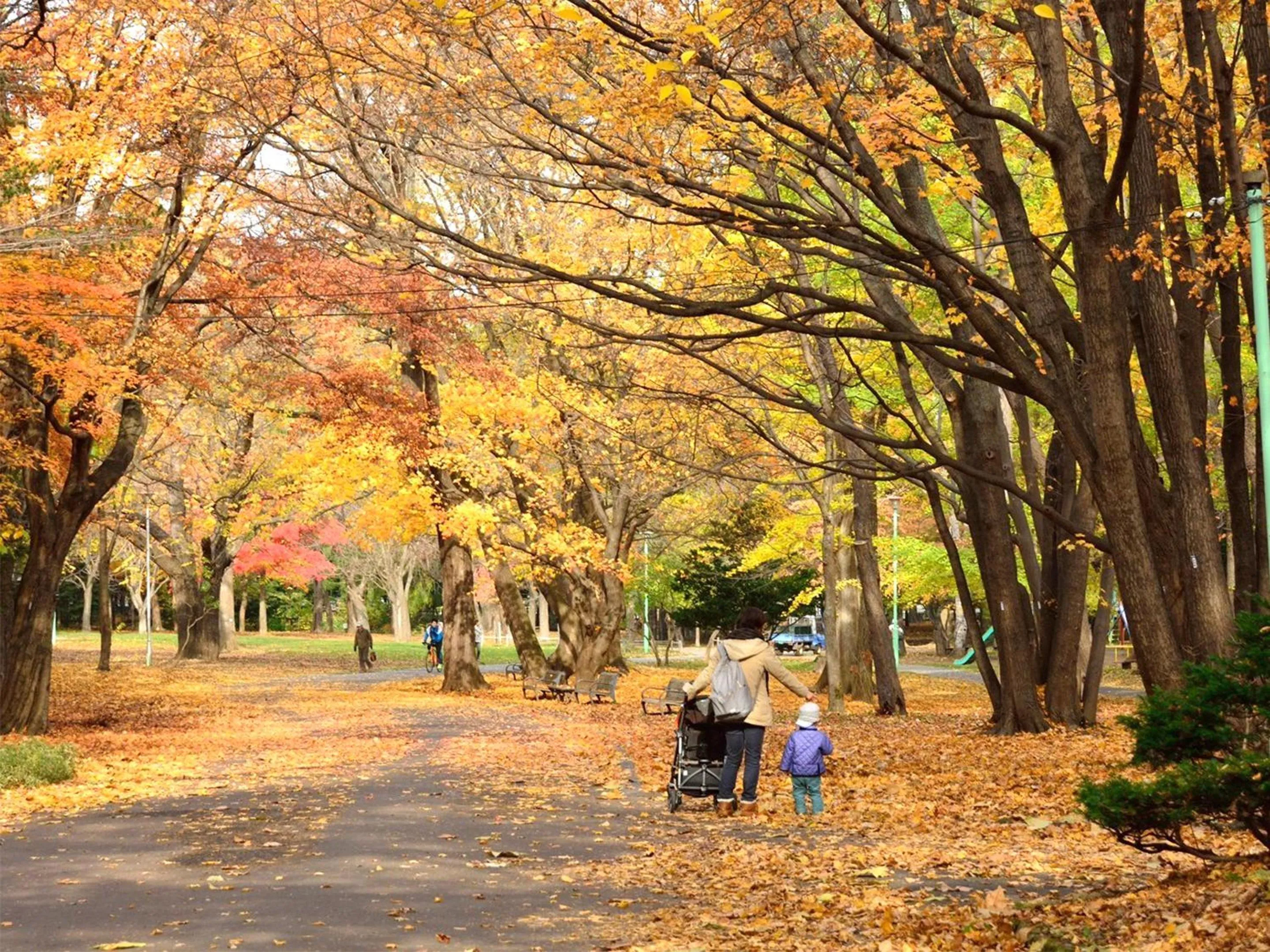 Nearby landmark in Lestel Maru