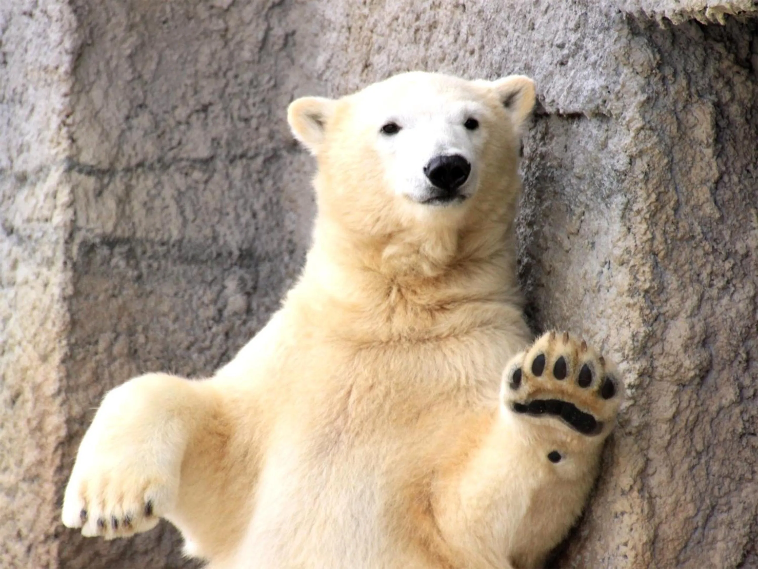 Nearby landmark in Lestel Maru