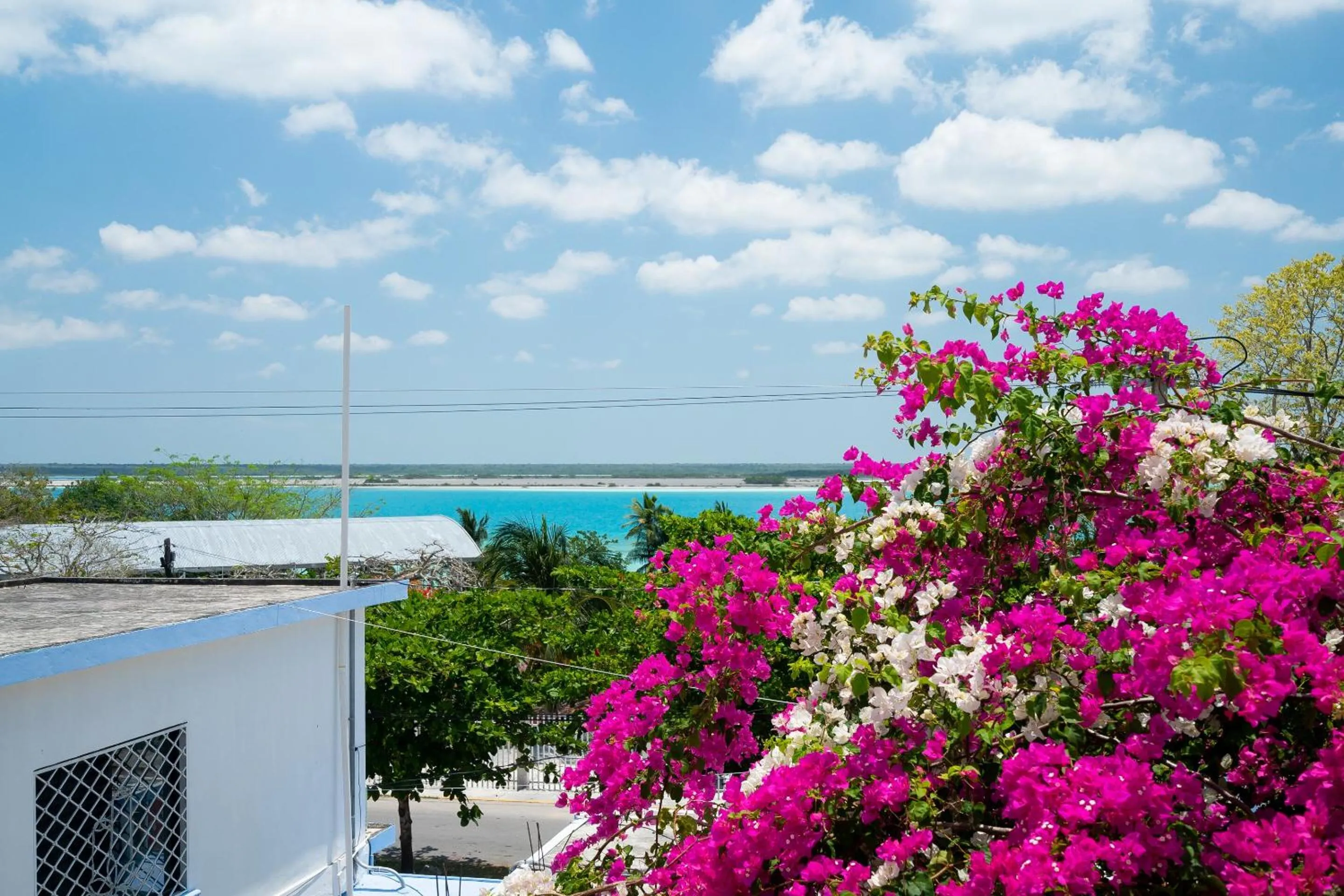 Balcony/Terrace in Hotel Casa Poblana