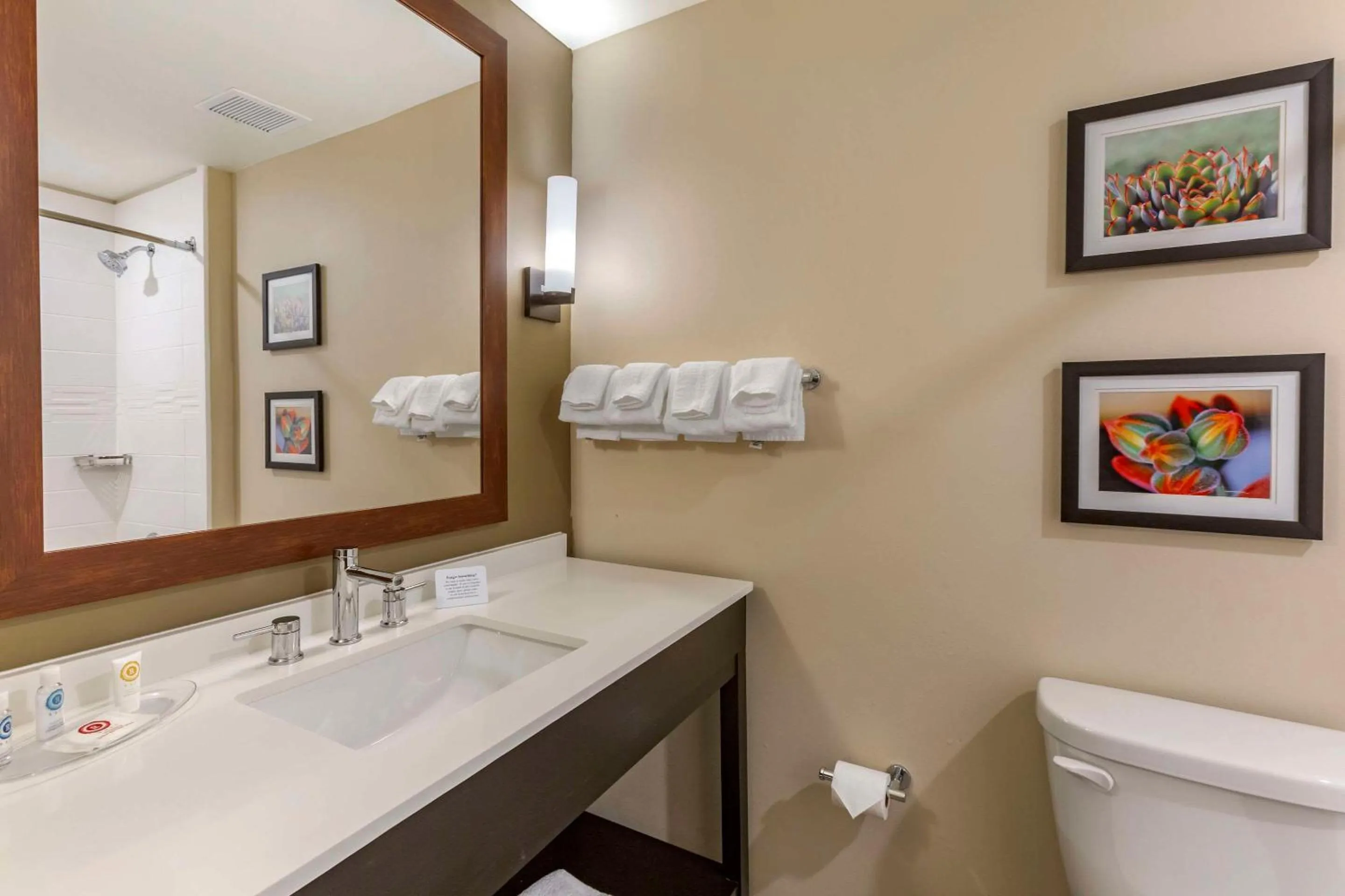 Bedroom in Comfort Suites Albuquerque Airport