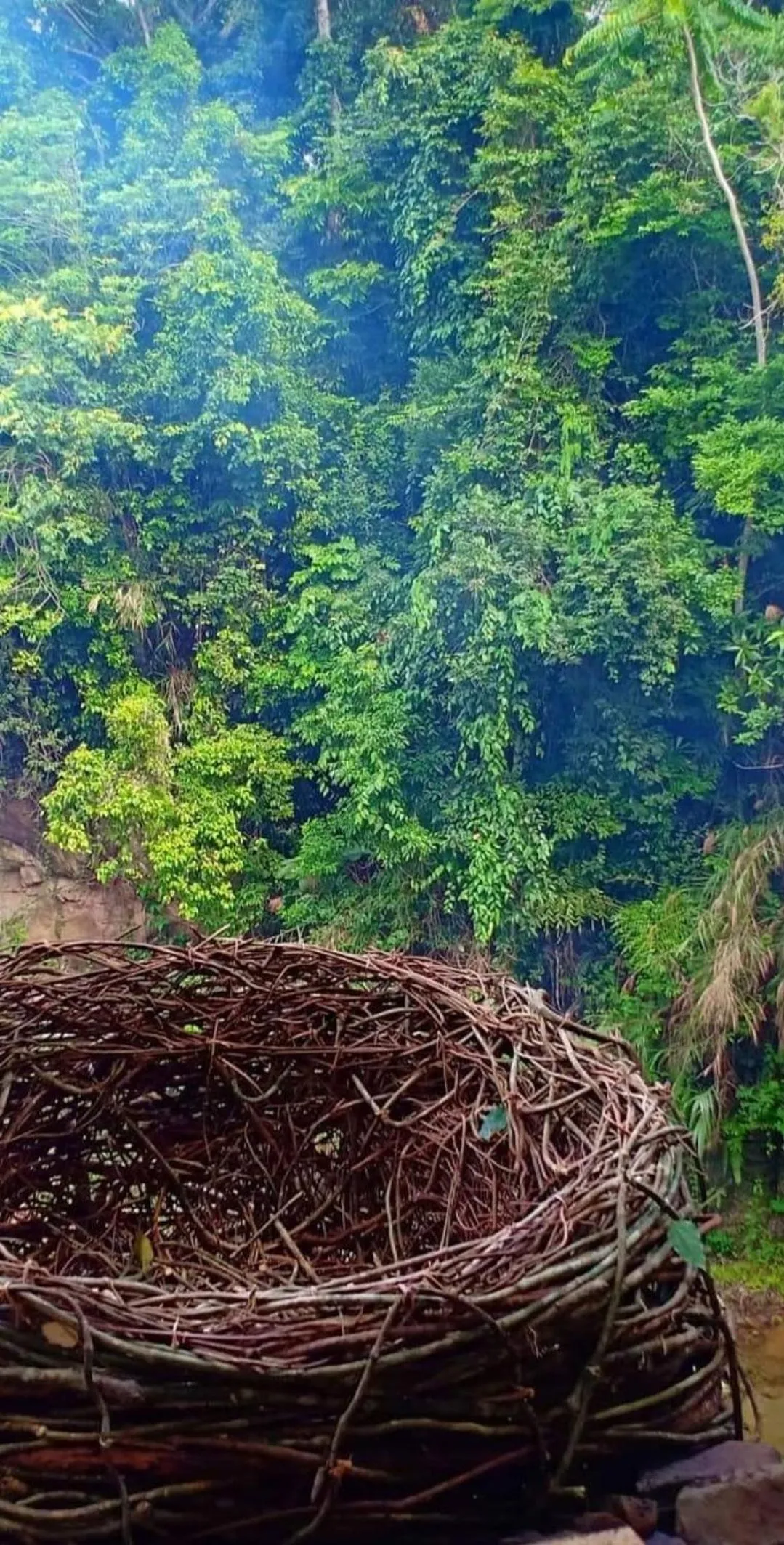 Day in Camp Paraiso Resort