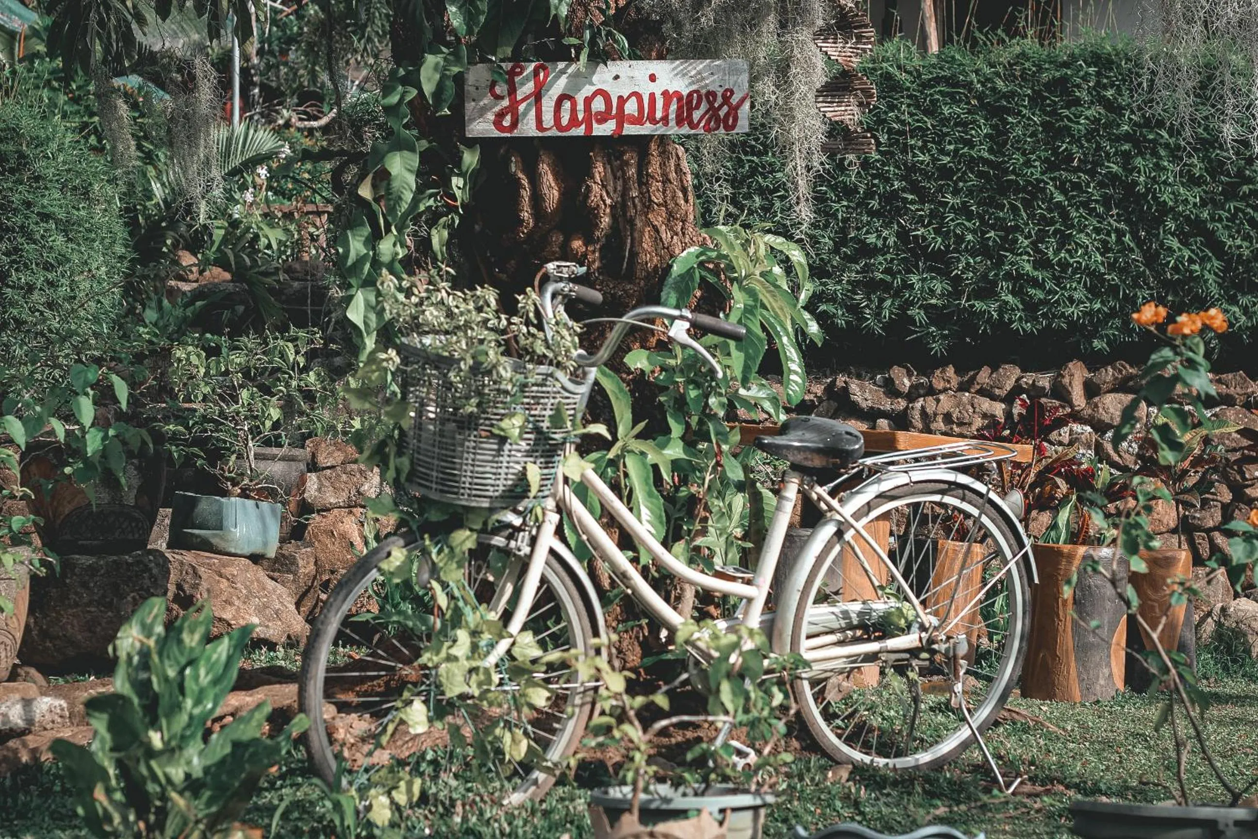 Cycling in Camp Paraiso Resort