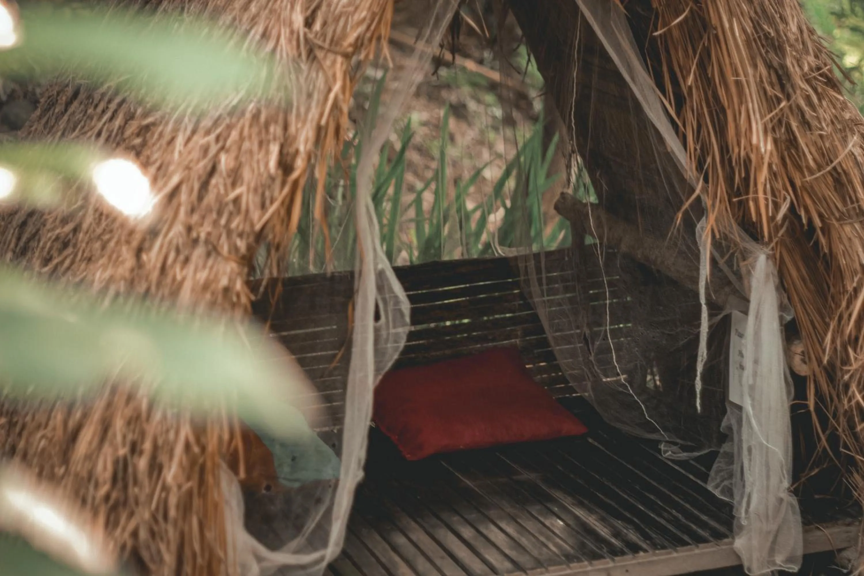 Natural landscape in Camp Paraiso Resort