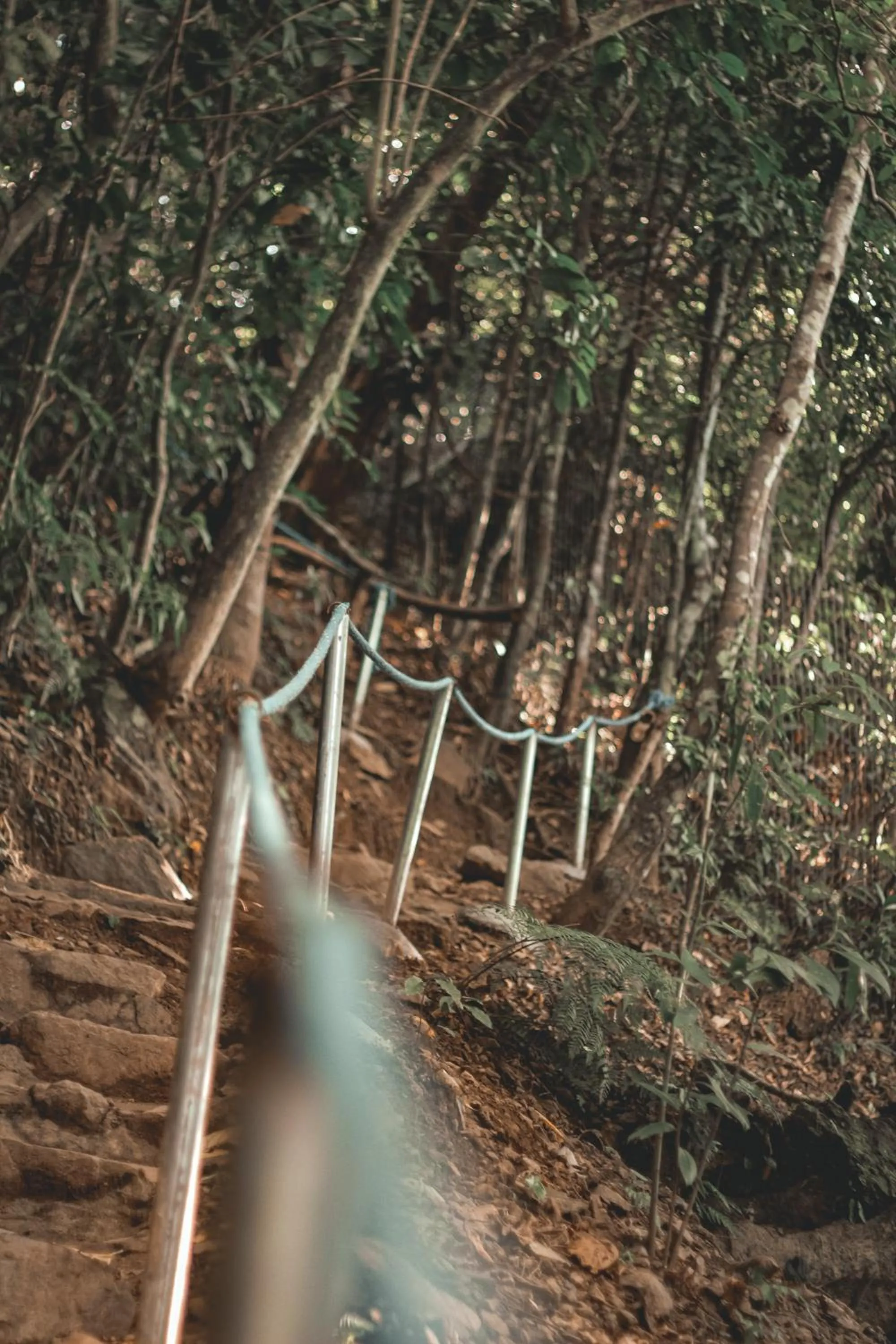 Natural landscape in Camp Paraiso Resort