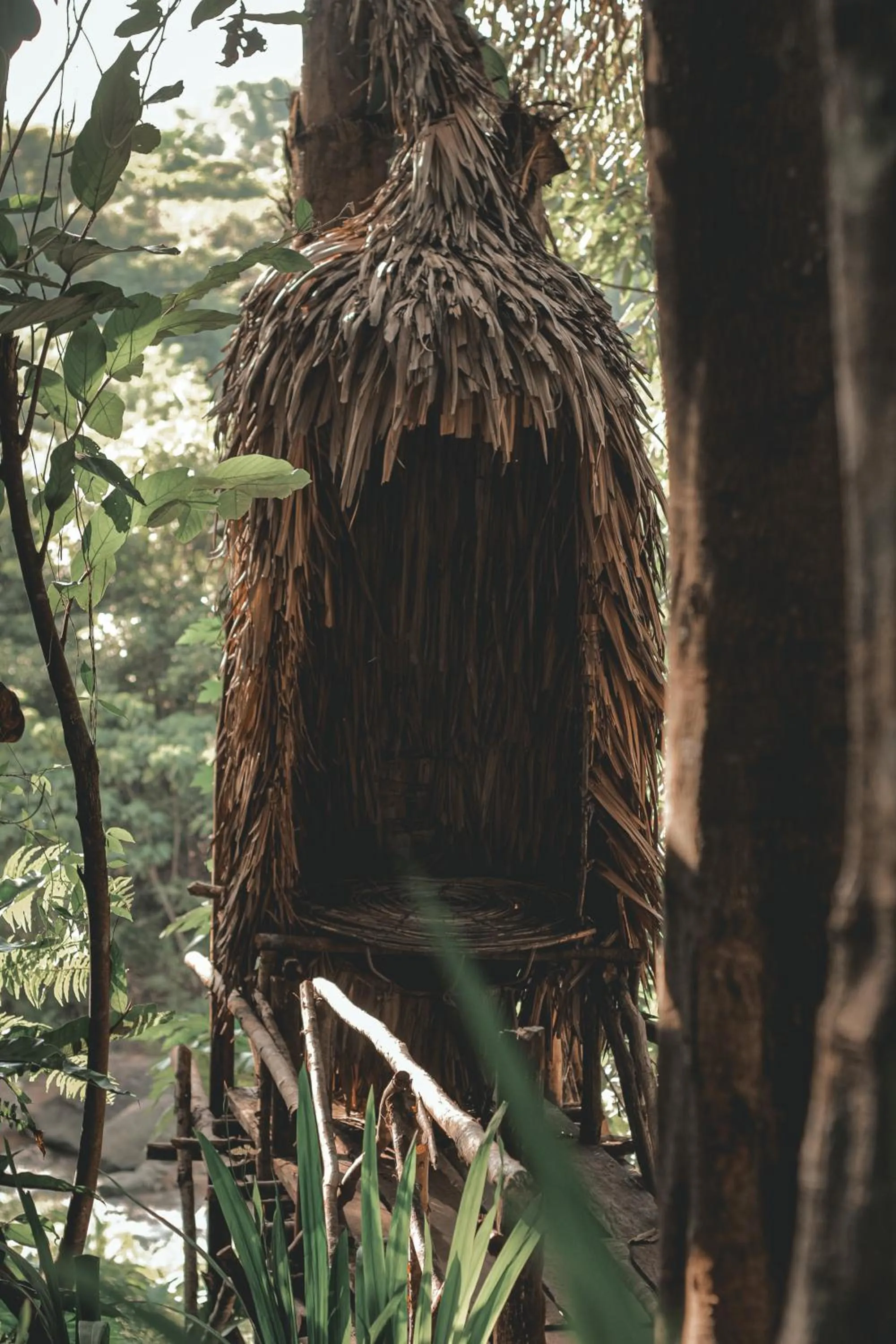 Natural landscape in Camp Paraiso Resort