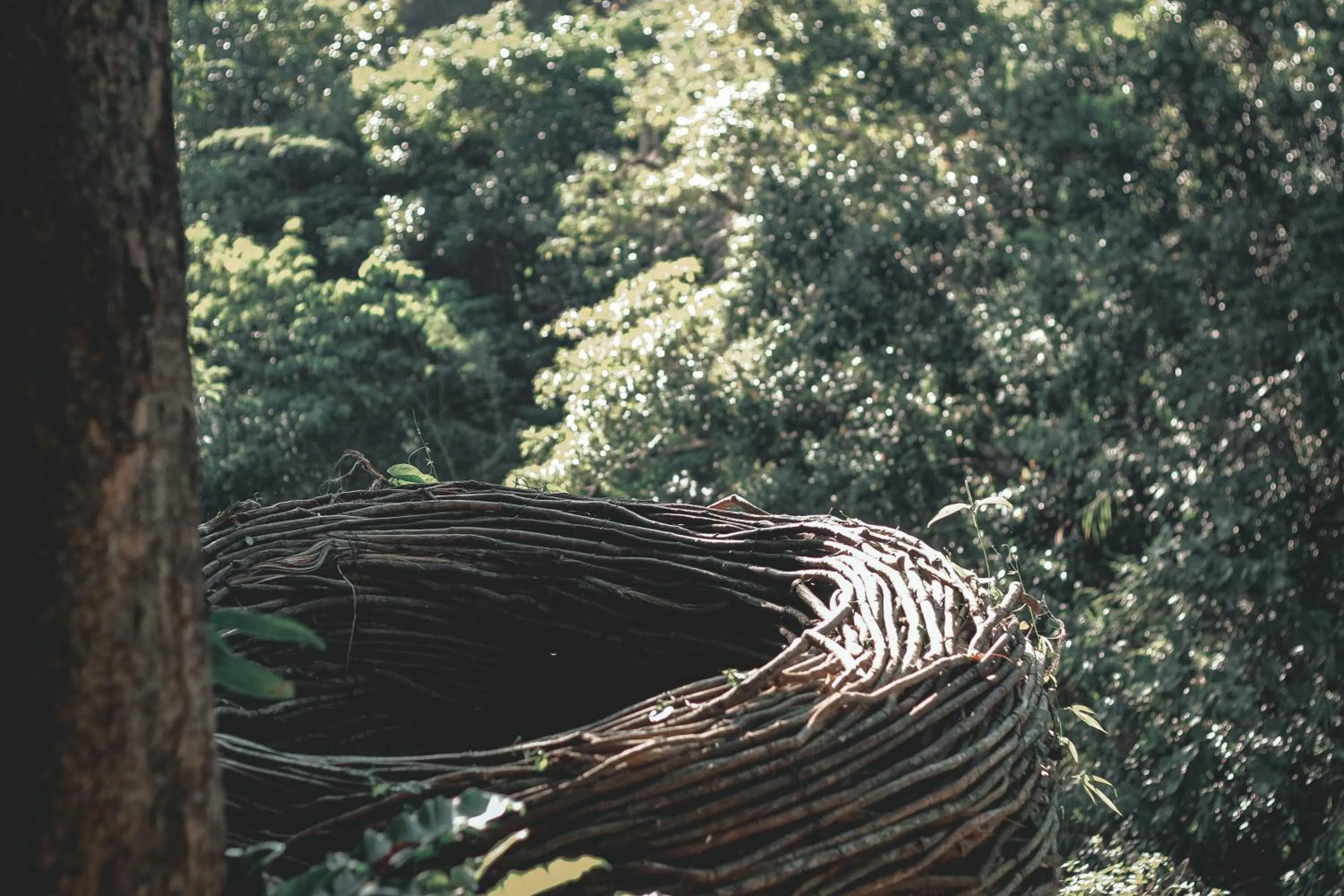 Natural landscape in Camp Paraiso Resort