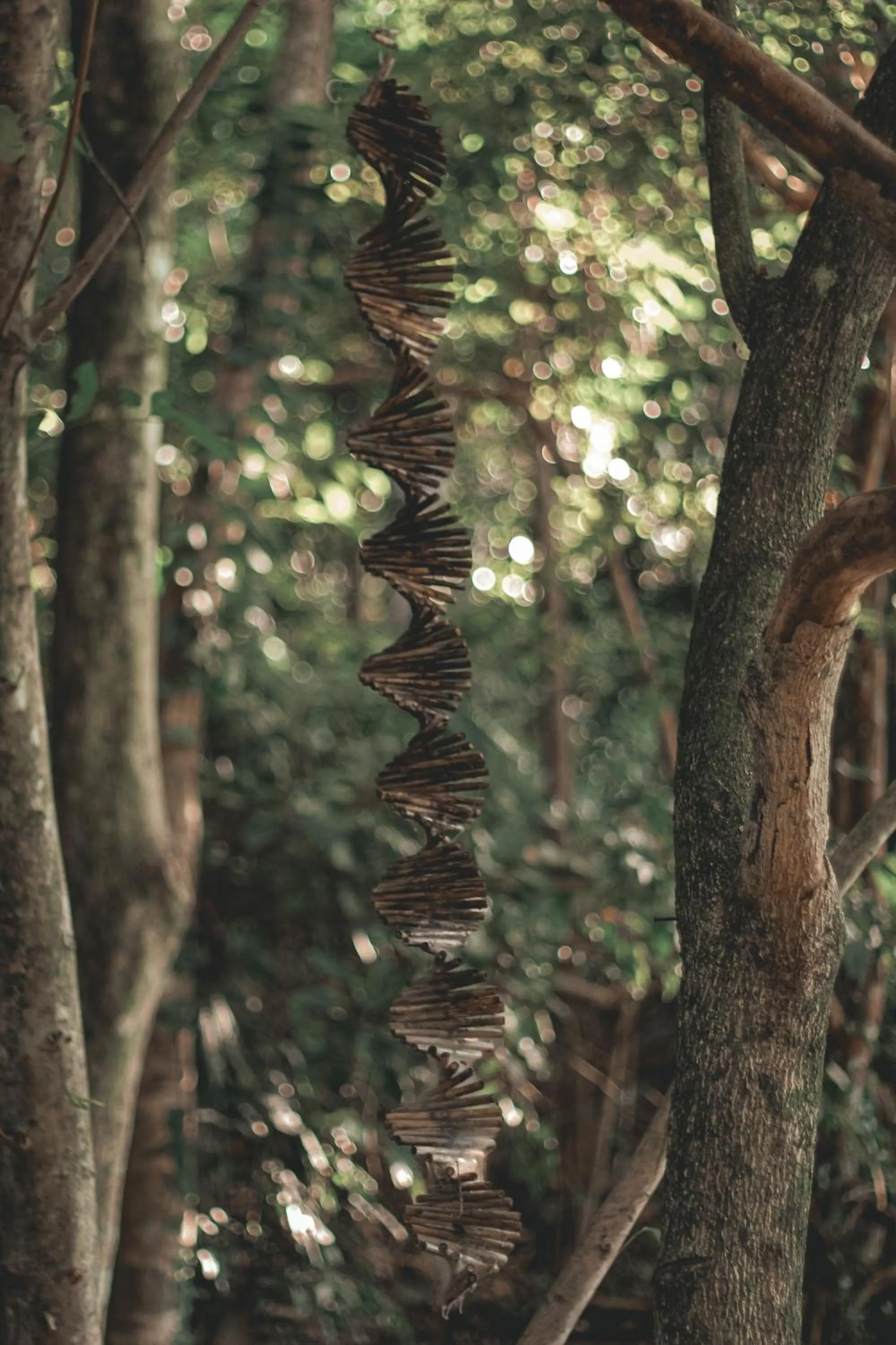 Natural landscape in Camp Paraiso Resort
