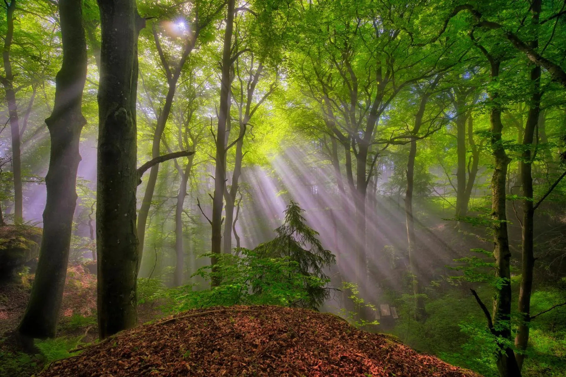 Nearby landmark in Hotel Koch Schilt