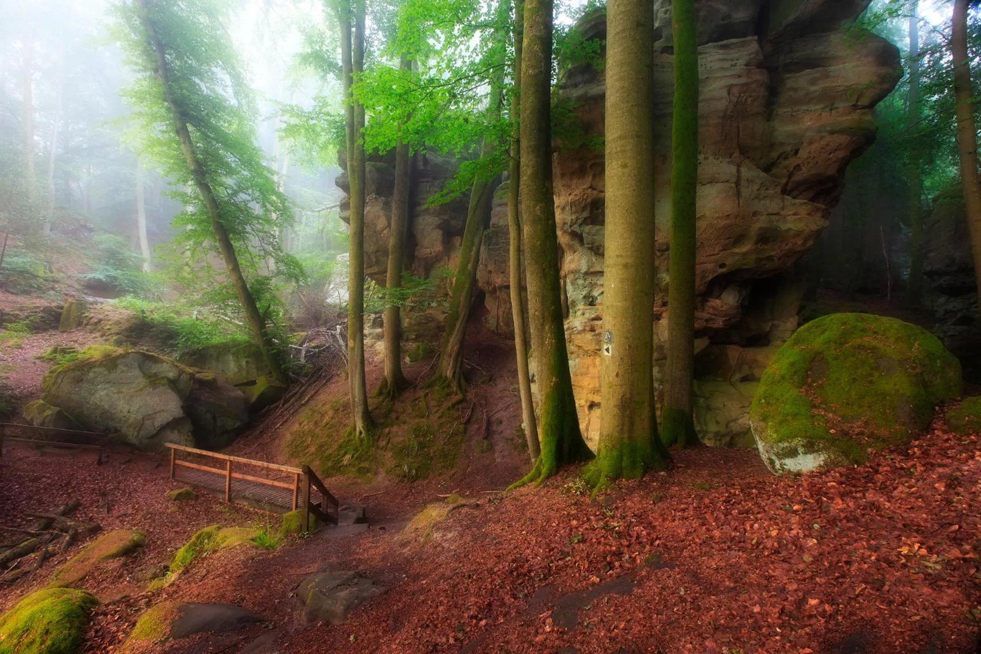 Nearby landmark in Hotel Koch Schilt