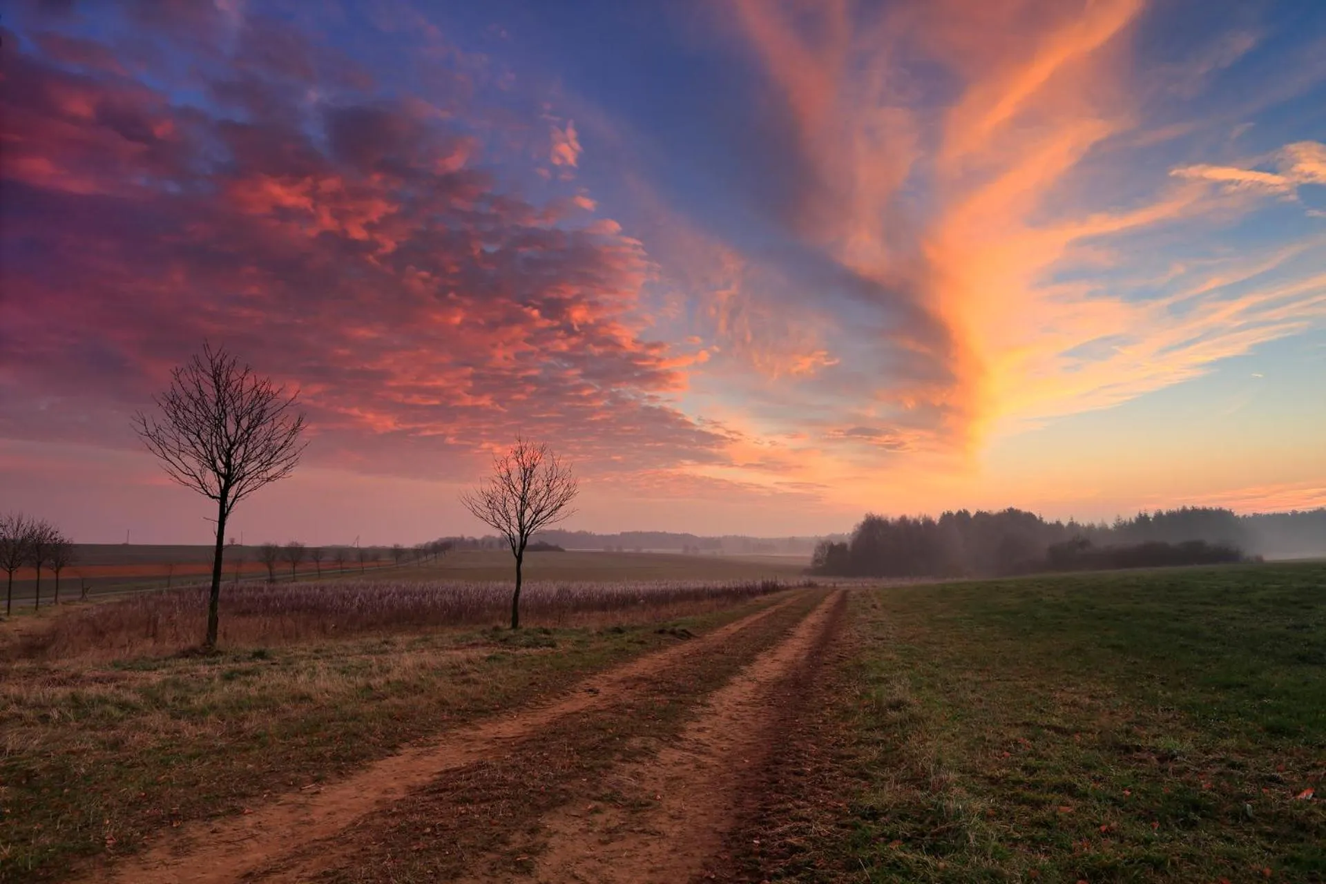 Natural landscape in Hotel Koch Schilt
