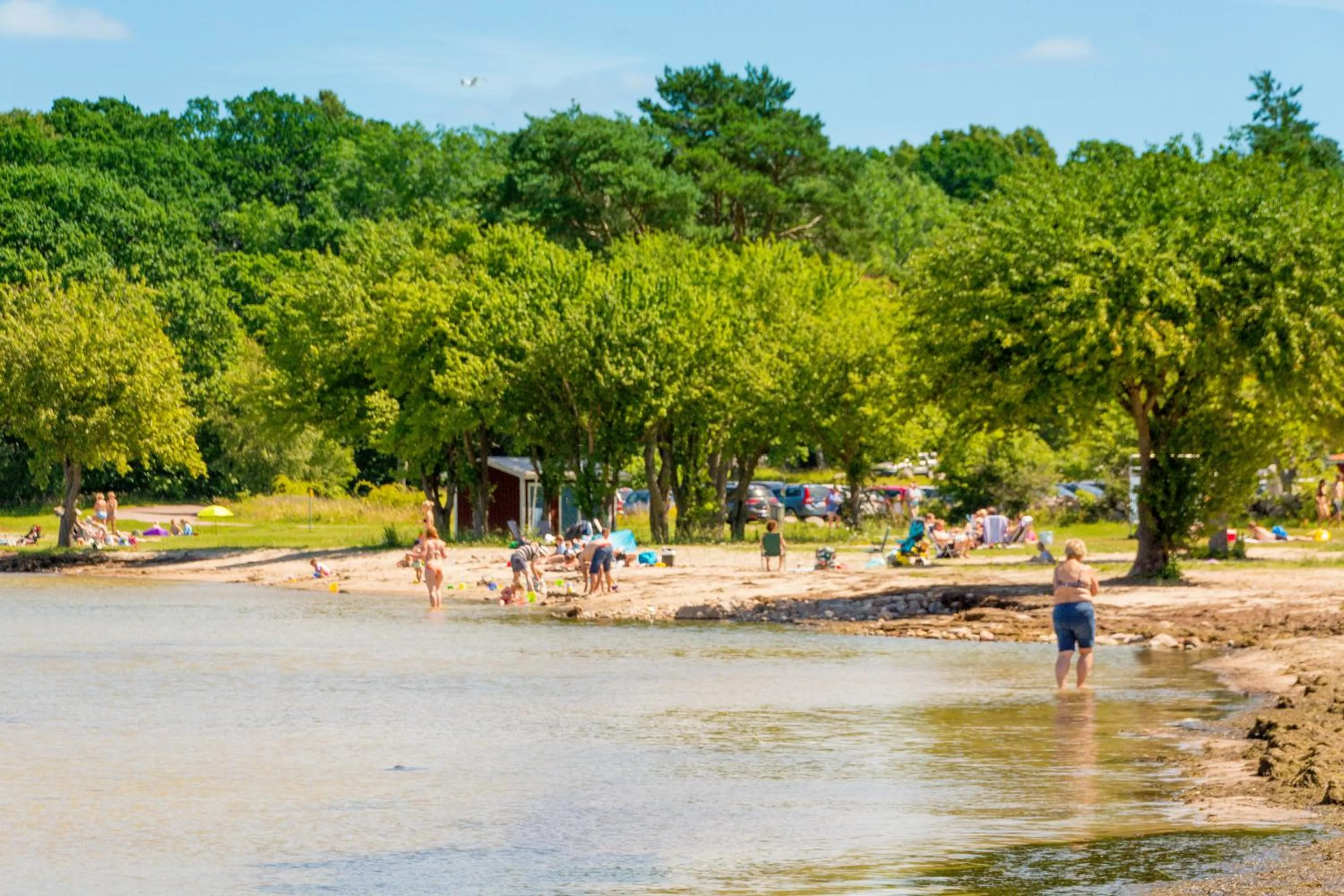 Beach in First Camp Ekerum - Öland
