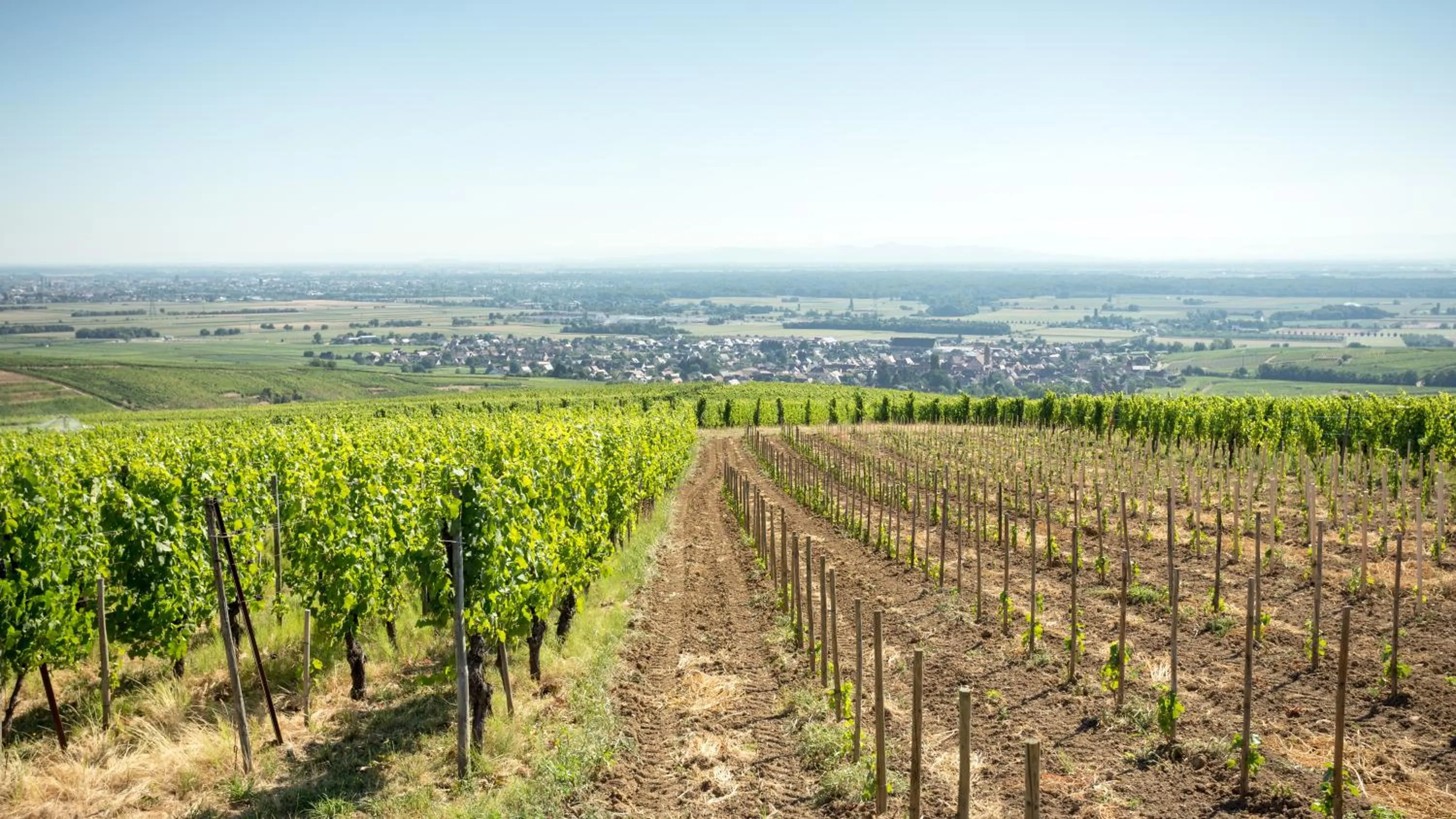 Neighbourhood in Les chambres du domaine