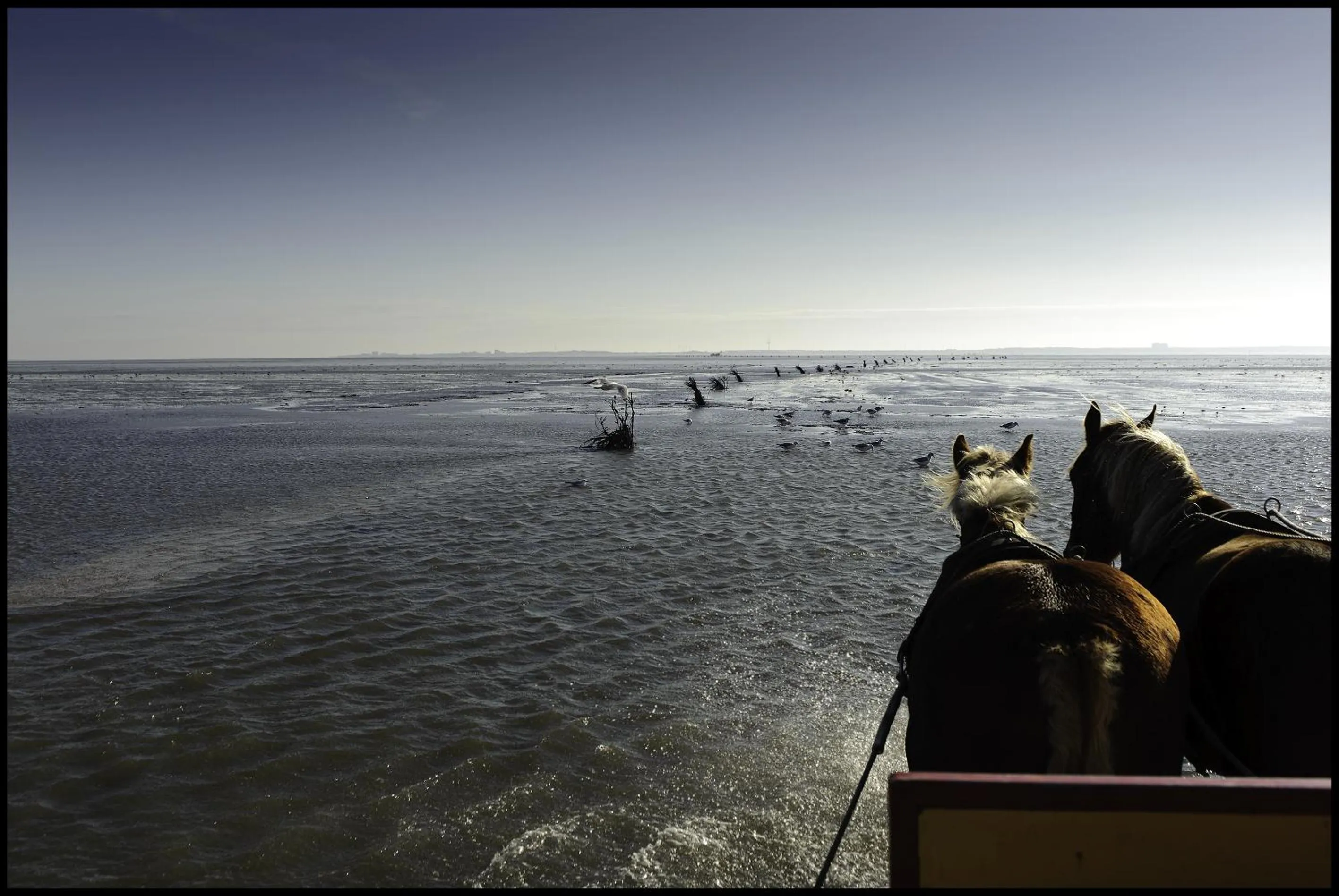 Activities in Hotel Nige Hus