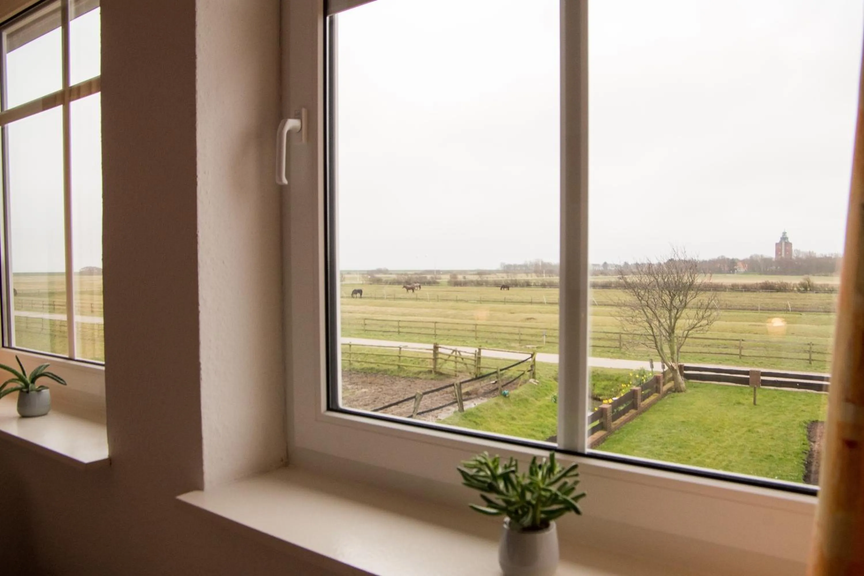 Natural landscape in Hotel Nige Hus