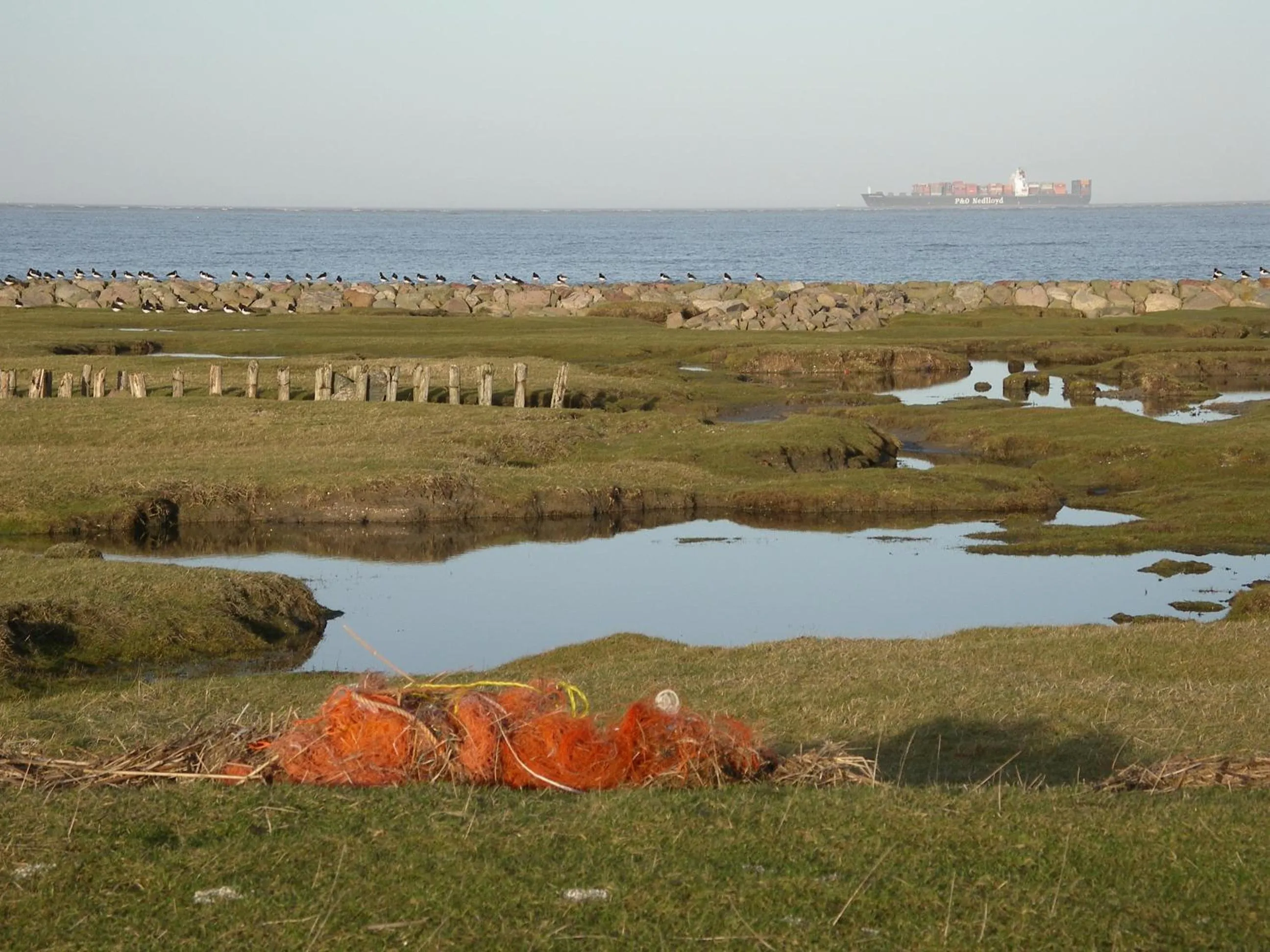 Natural landscape in Hotel Nige Hus