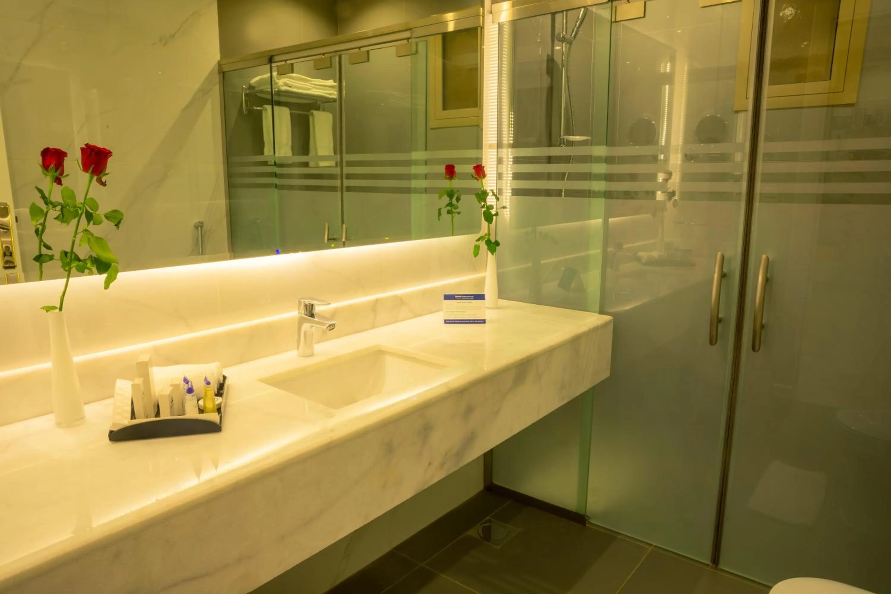 Shower in Swiss Luxury Villas