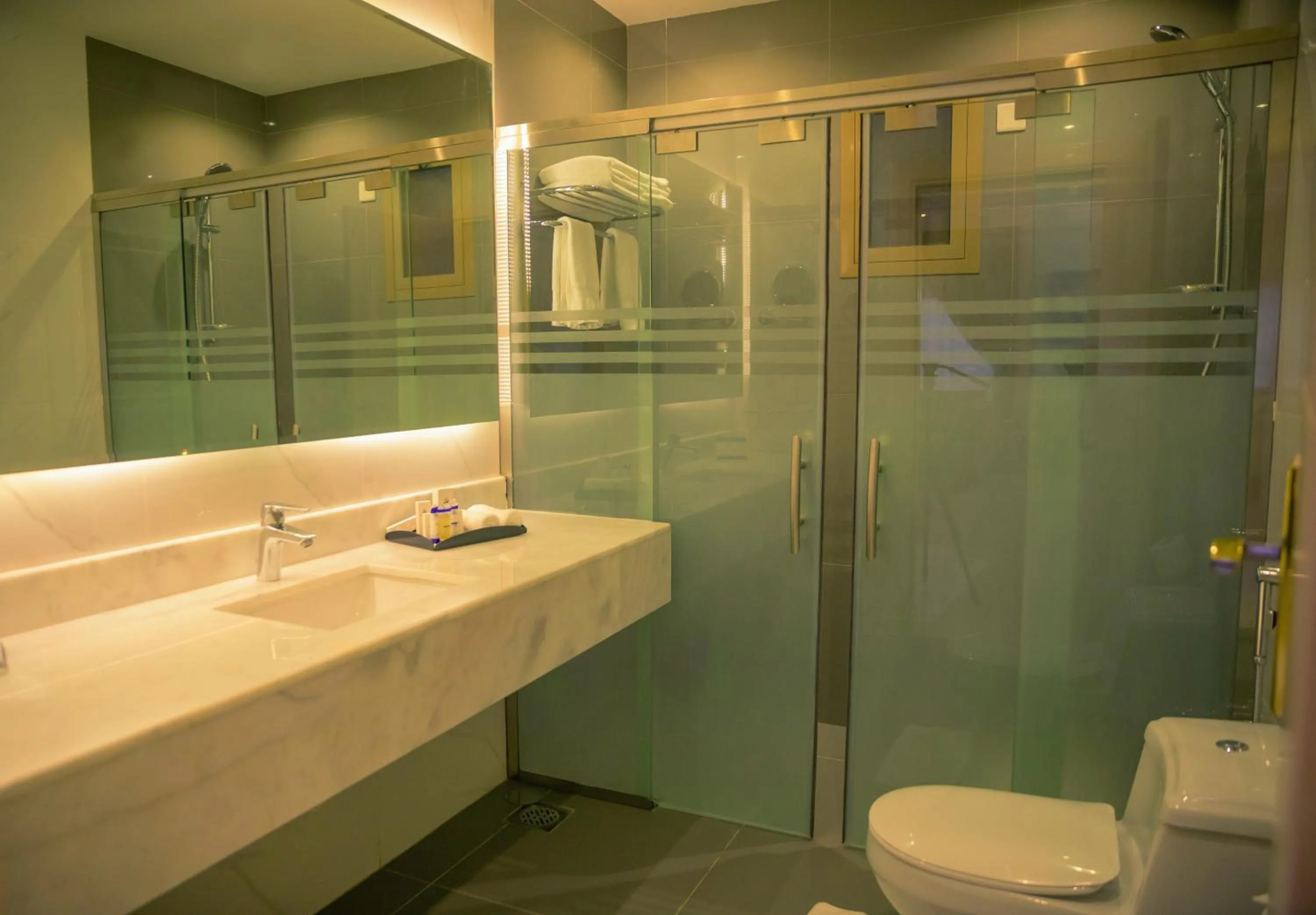 Shower in Swiss Luxury Villas