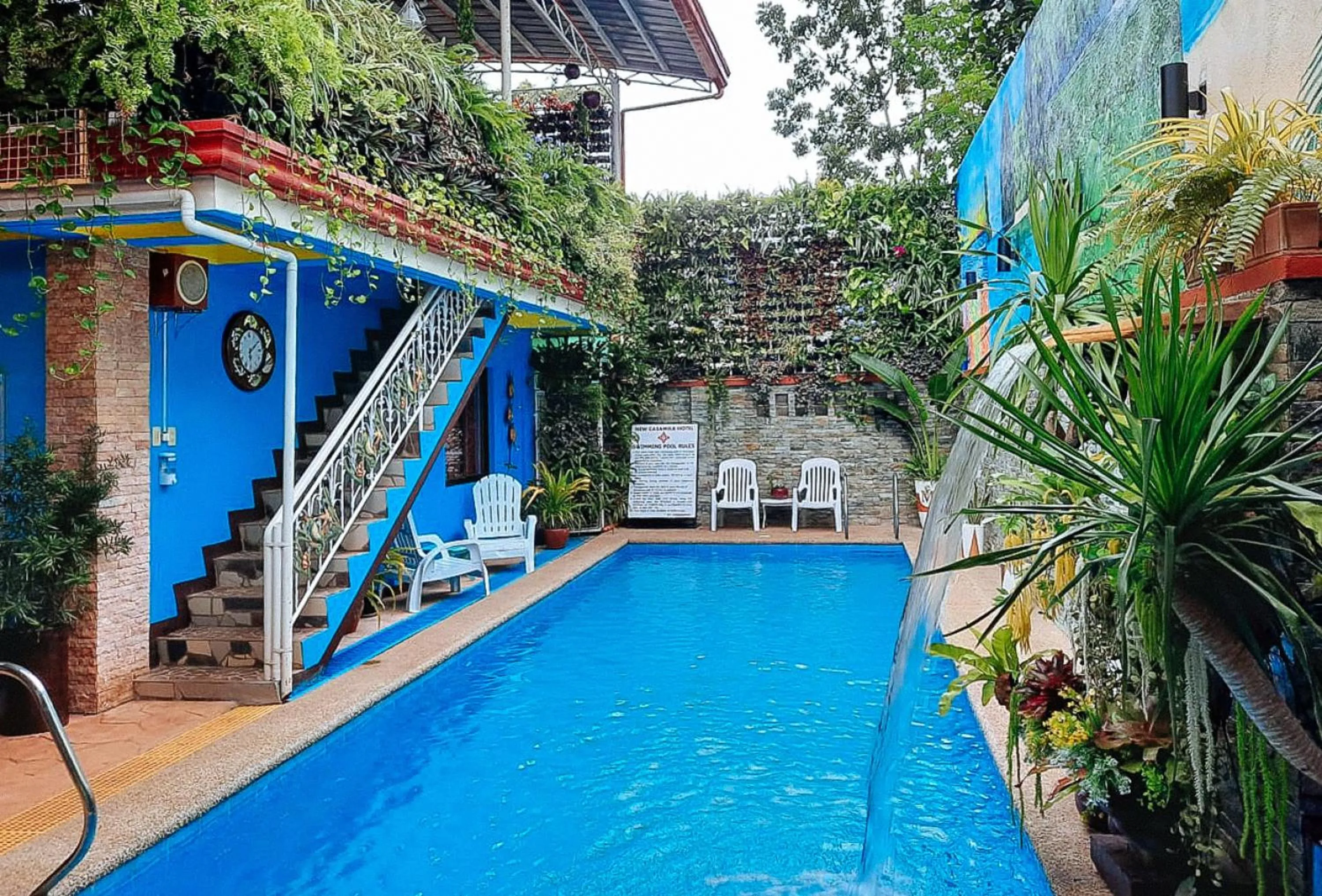 Swimming pool in RedDoorz at New Casamila Hotel Palawan