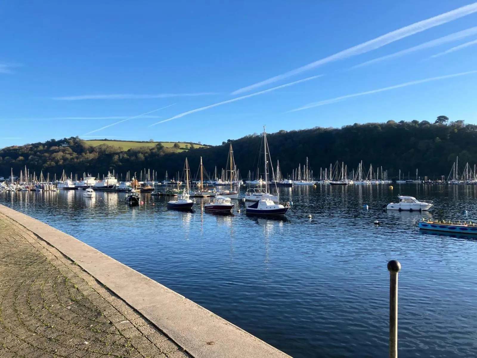Natural landscape in Anzac Street B+Bistro
