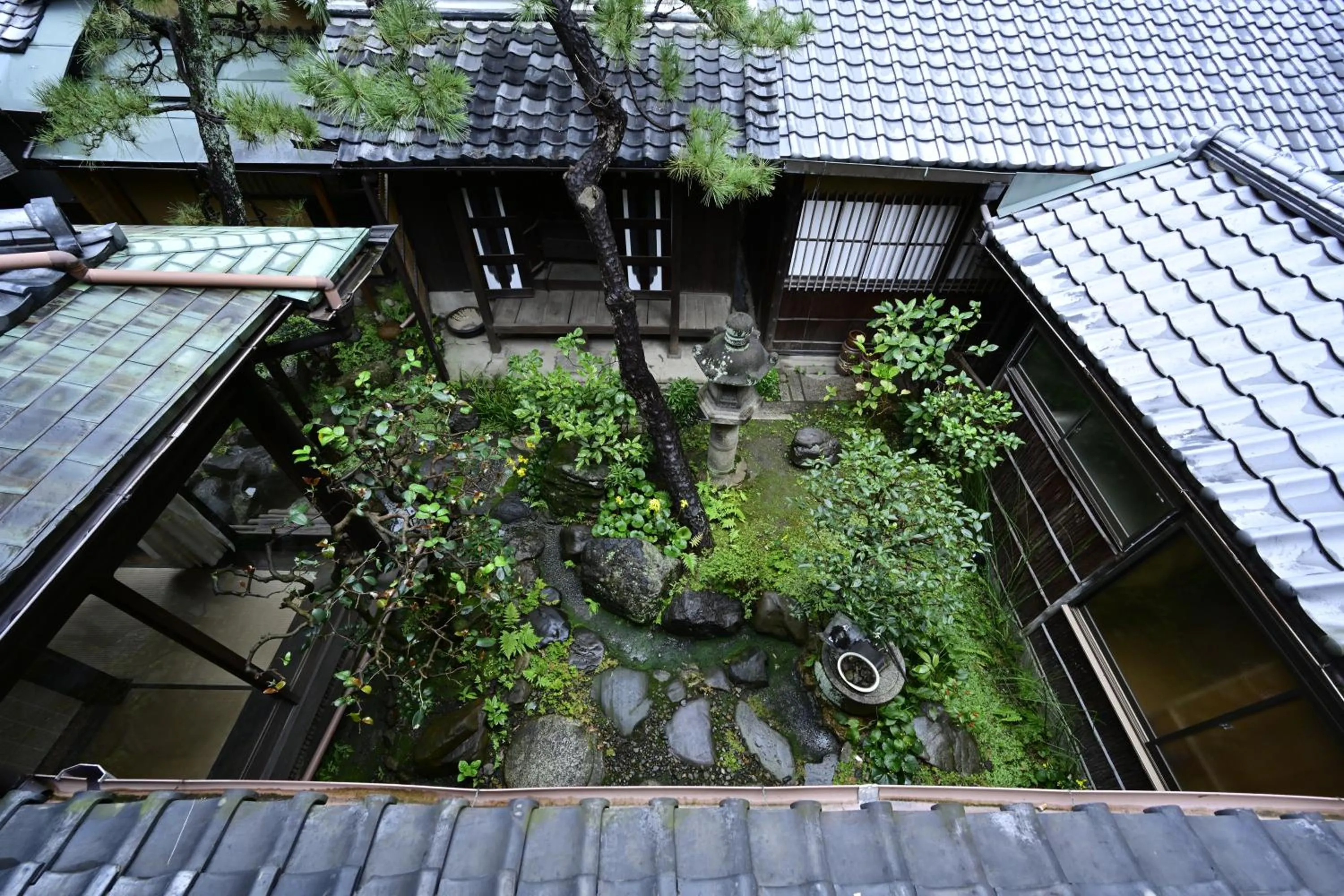 Day in Nishijin Fujita