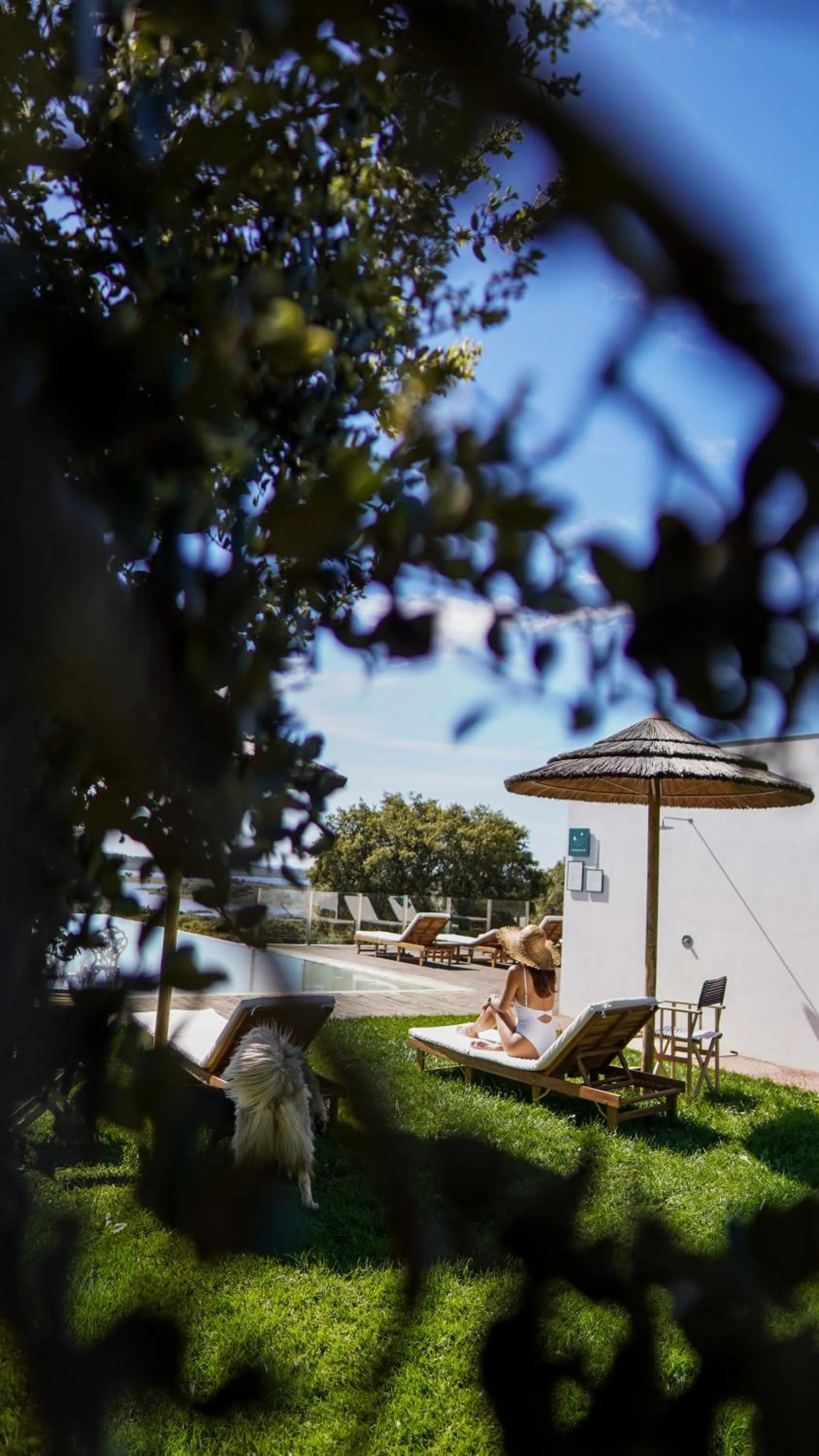 Swimming pool in Montimerso Skyscape Countryhouse