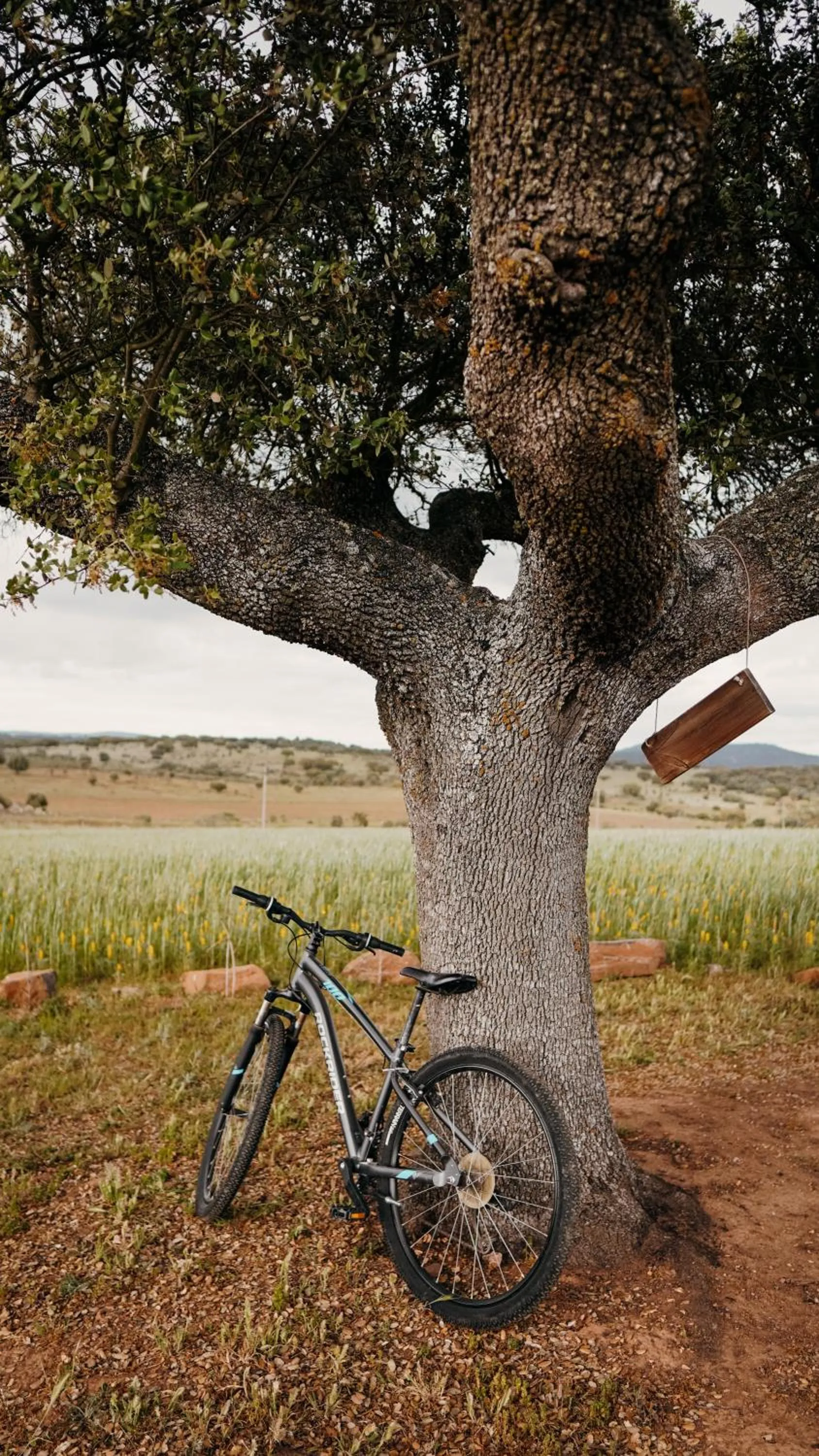 View (from property/room) in Montimerso Skyscape Countryhouse