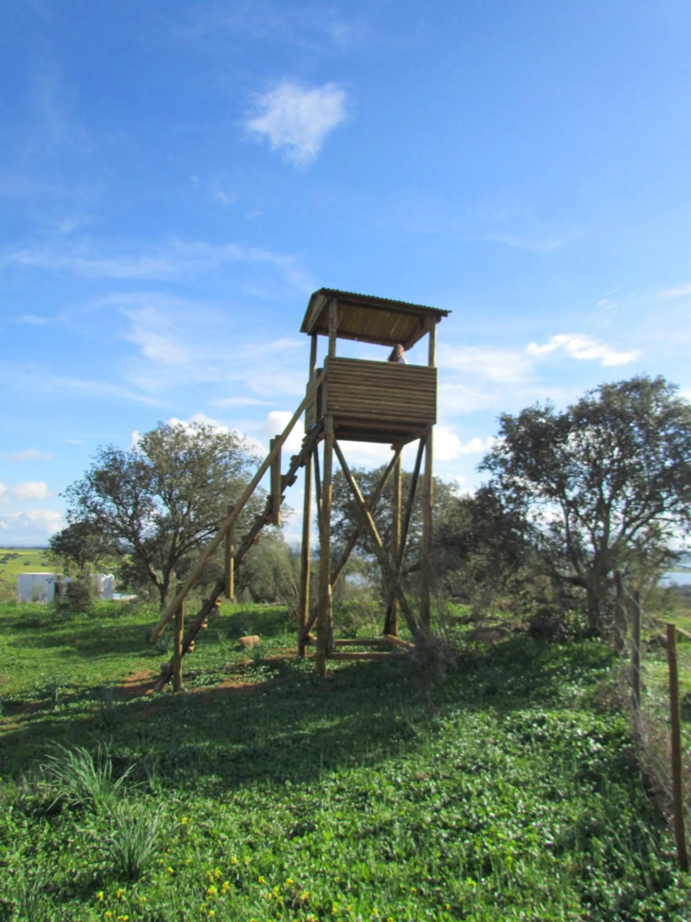 View (from property/room) in Montimerso Skyscape Countryhouse