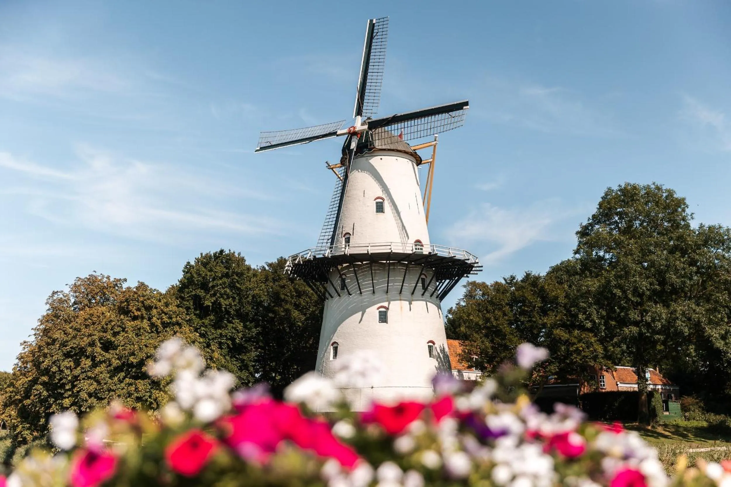 Area and facilities in Cityhotel Wood