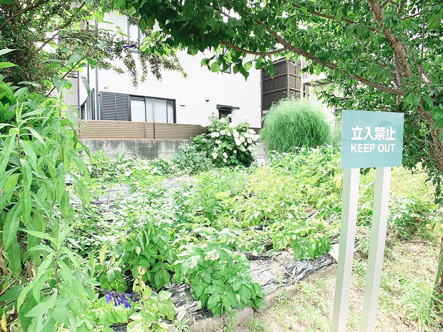 Itsukaichi First Villa Hiroshima