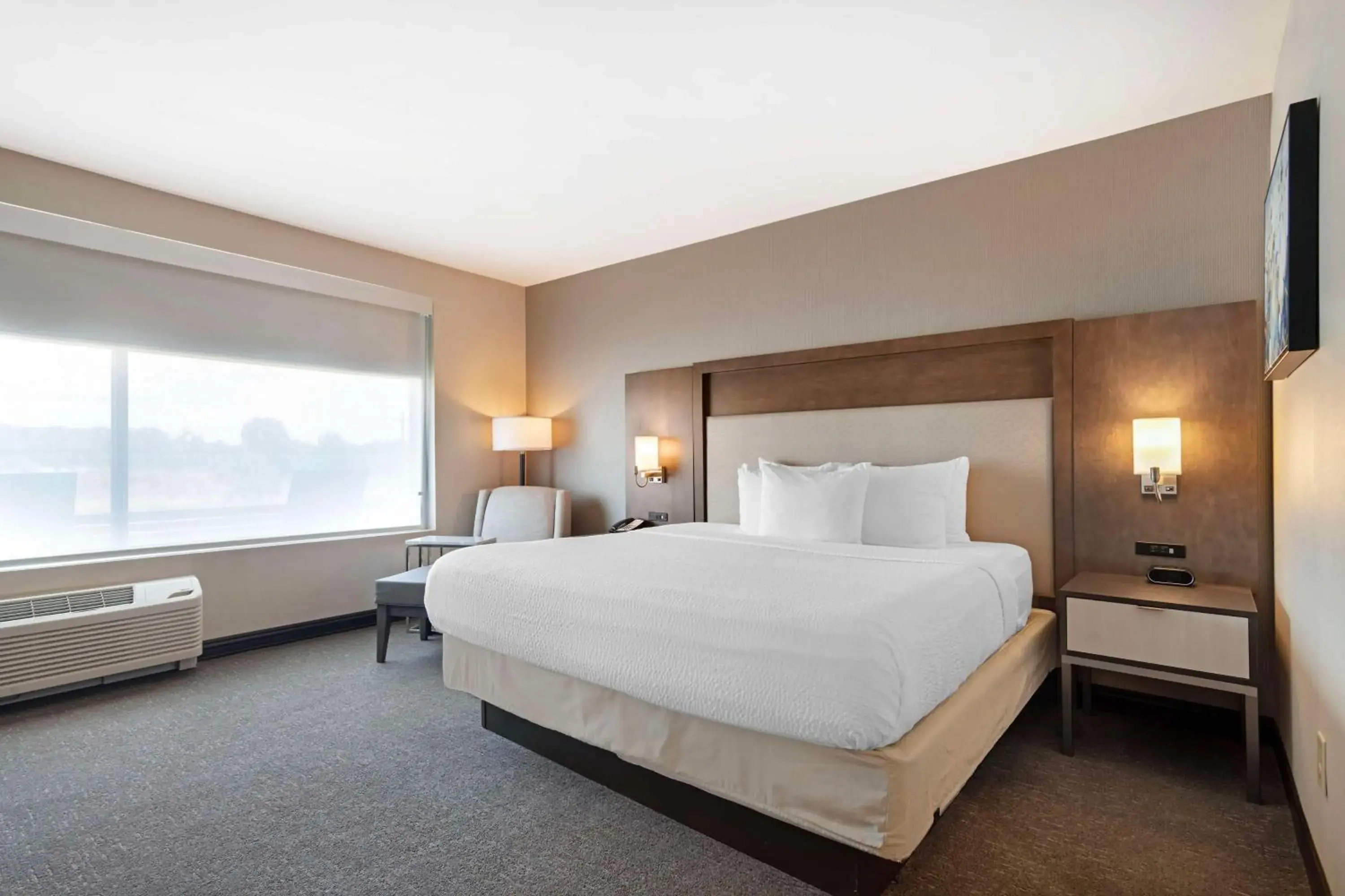 One-Bedroom King Suite with Sofa Bed, Kitchenette and Park View - Disability Access/Non-Smoking in Best Western Plus Executive Residency Rigby's Water World Hotel One-Bedroom King Suite with Sofa Bed, Kitchenette and Park View - Disability Access/Non-Smoking in Best Western Plus Executive Residency Rigby's Water World Hotel