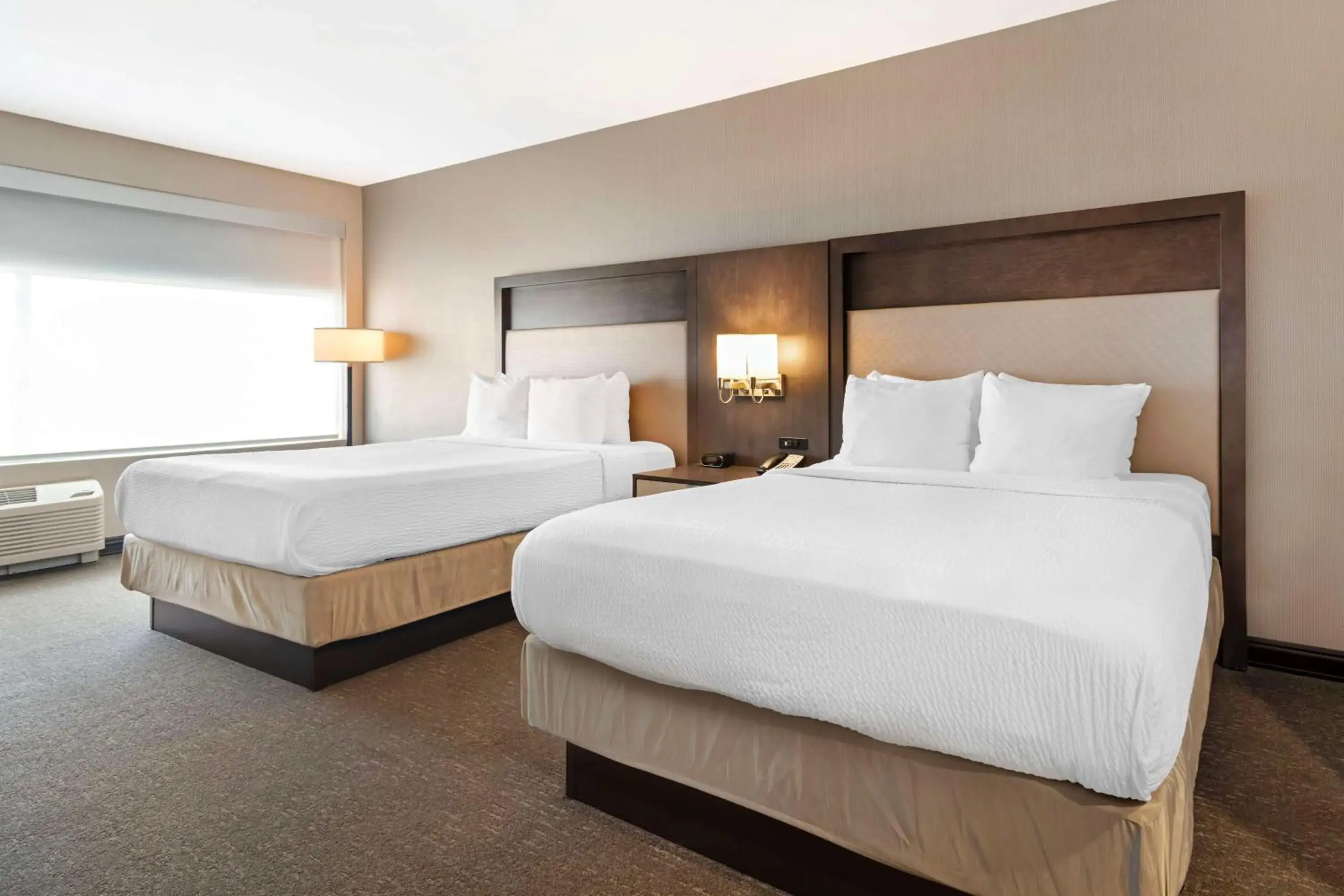 Queen Room with Two Queen Beds in Best Western Plus Executive Residency Rigby's Water World Hotel Queen Room with Two Queen Beds in Best Western Plus Executive Residency Rigby's Water World Hotel