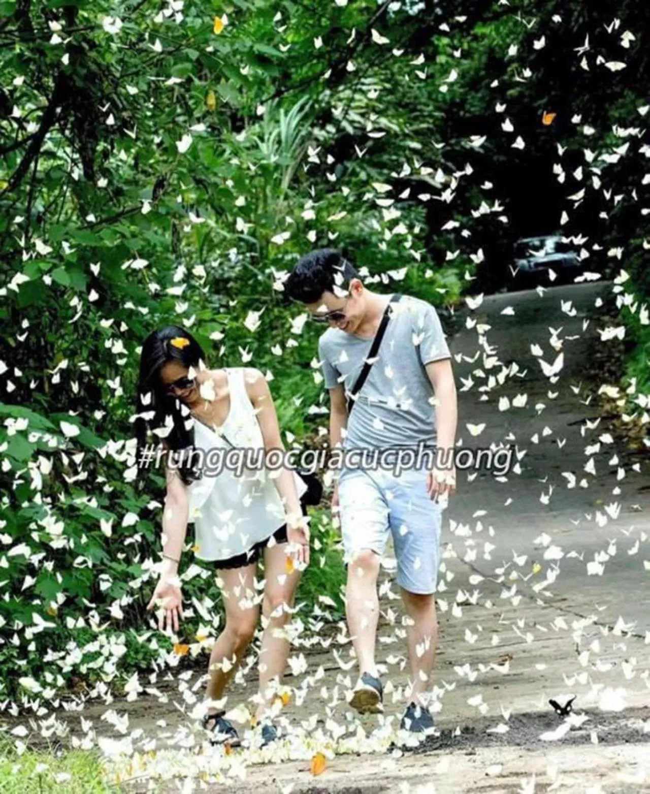 Nearby landmark in Trang An Freedom Hood