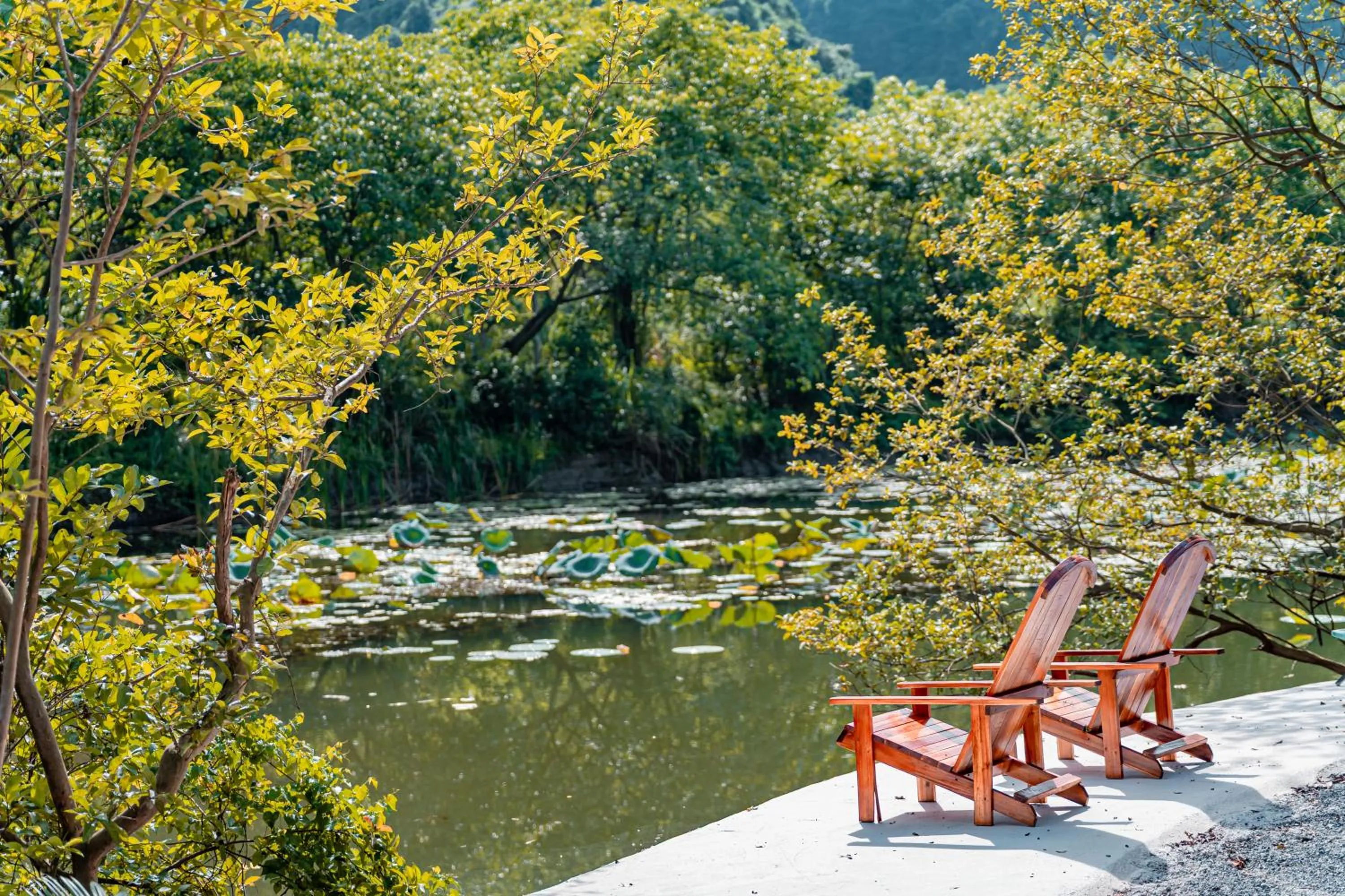 Natural landscape in Trang An Freedom Hood