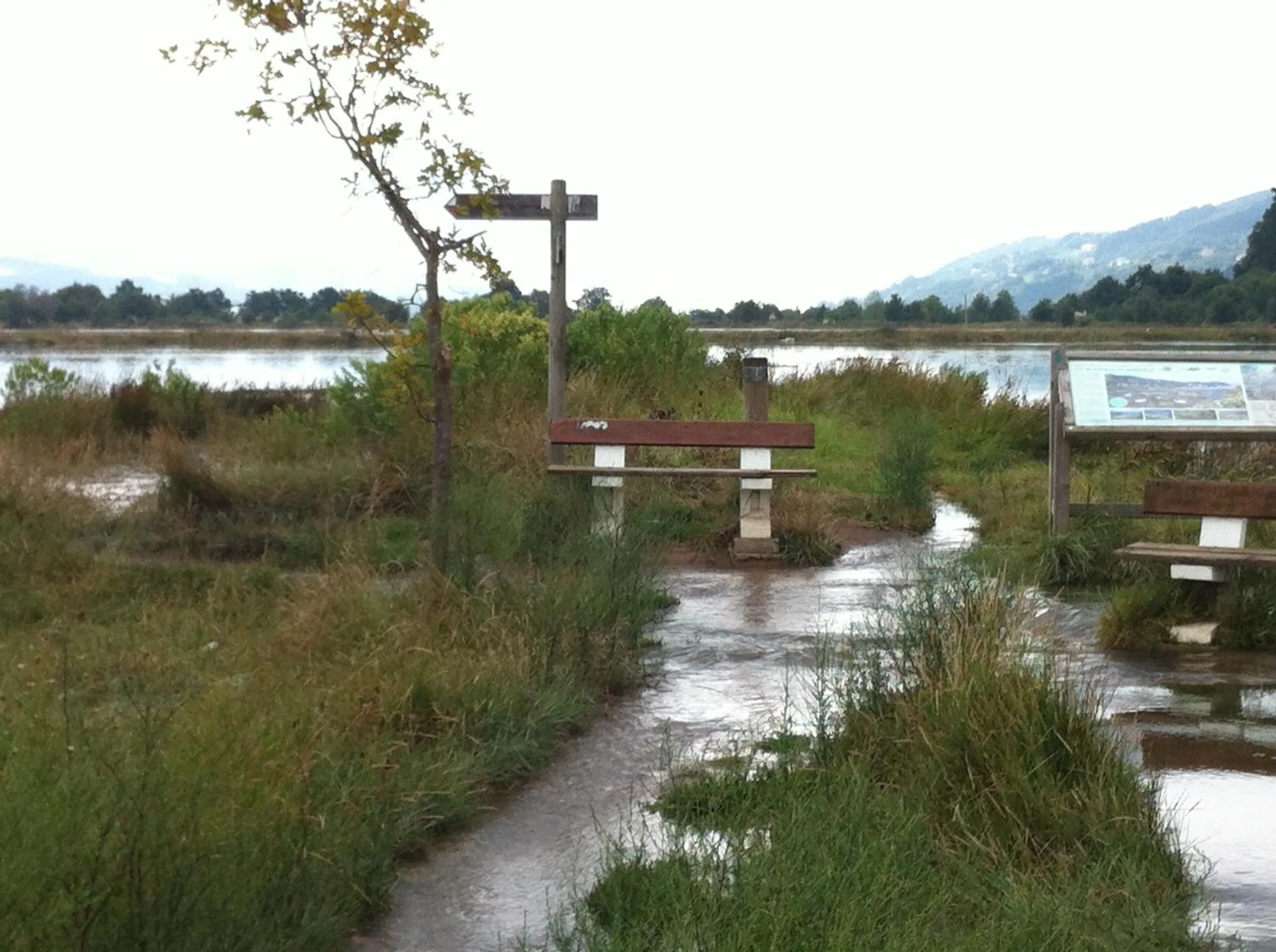 Off site in Hotel Boliña