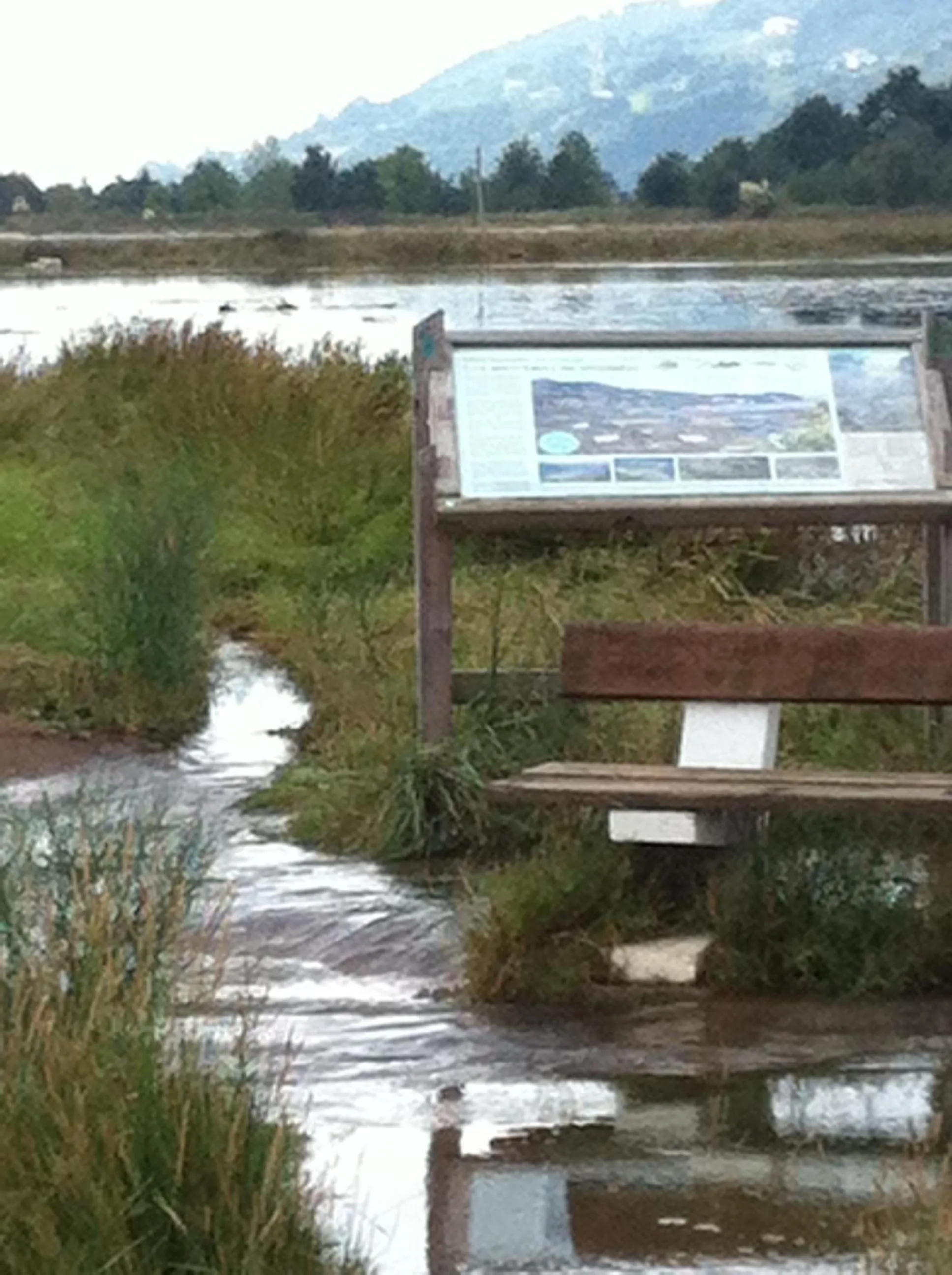 Off site in Hotel Boliña