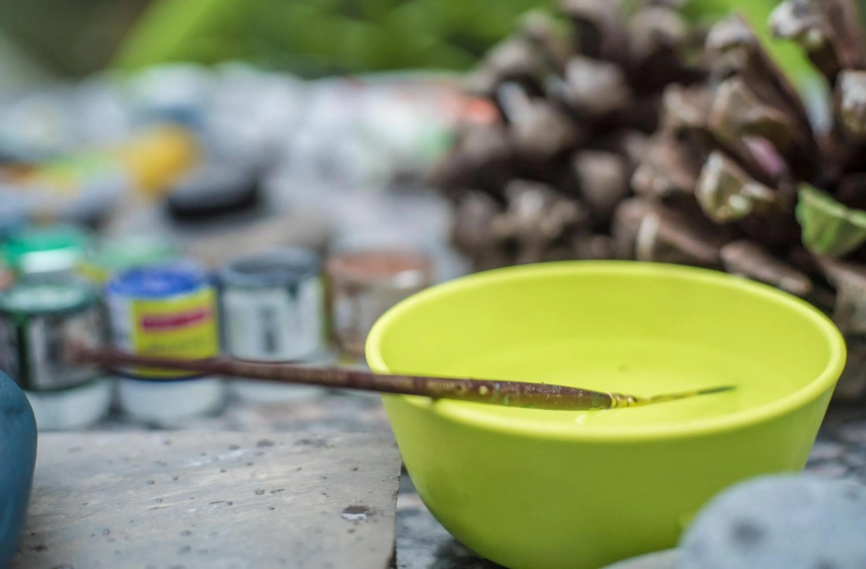 Natural landscape in Parvati Kuteer riverside resort