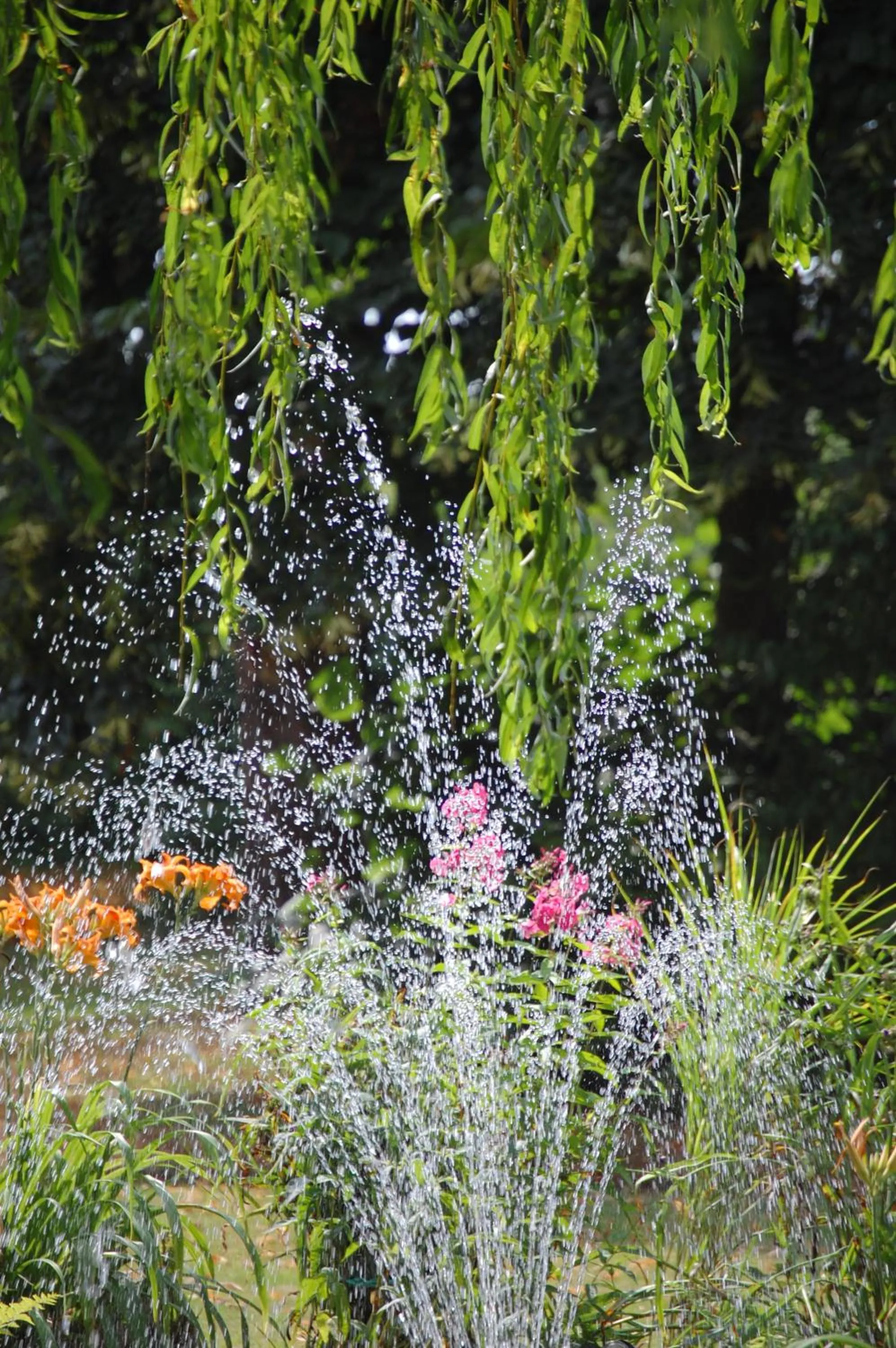 Garden in Land-gut-Hotel Allerhof