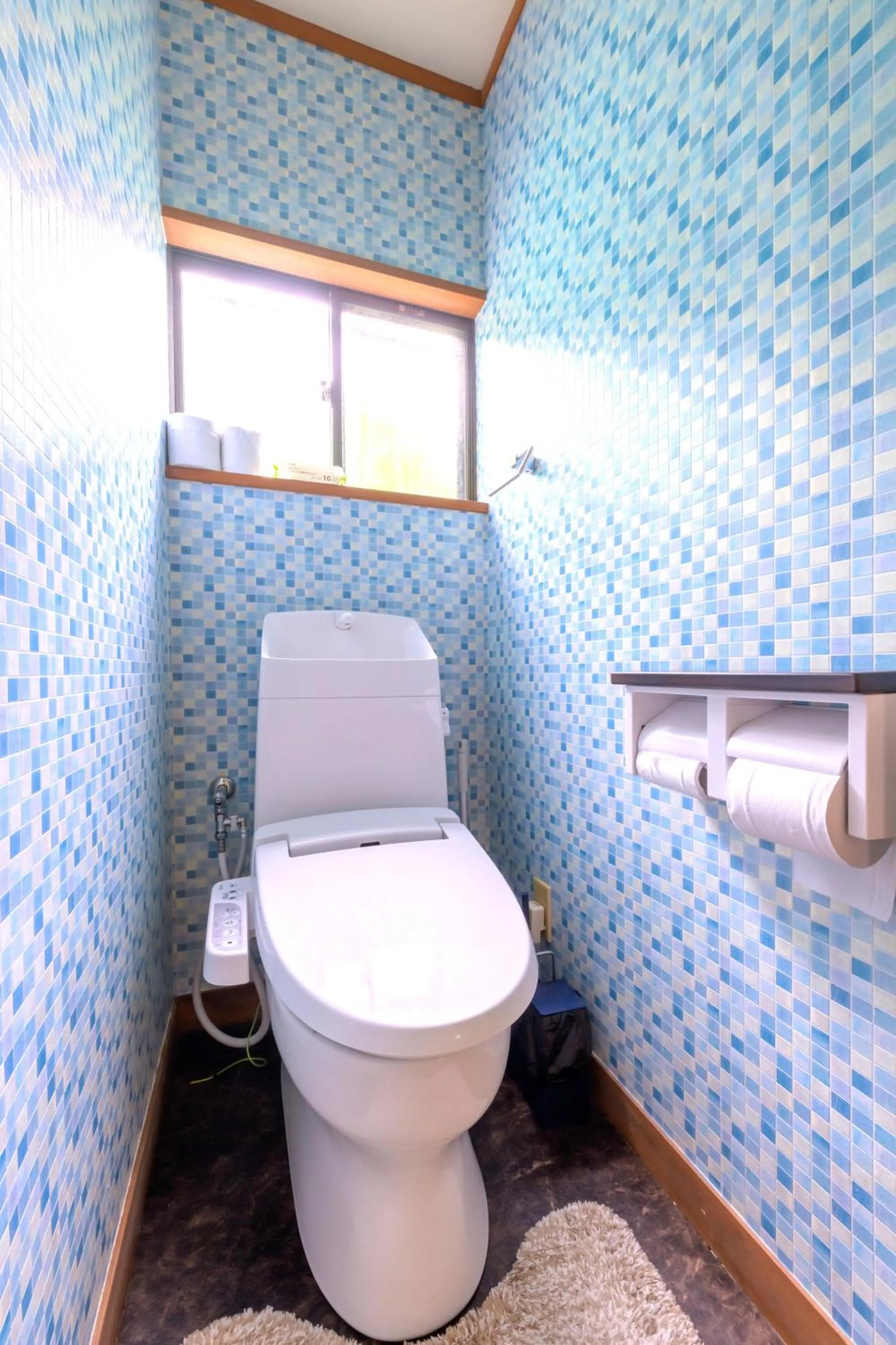 VILLENT Izukogen Oomuroyama