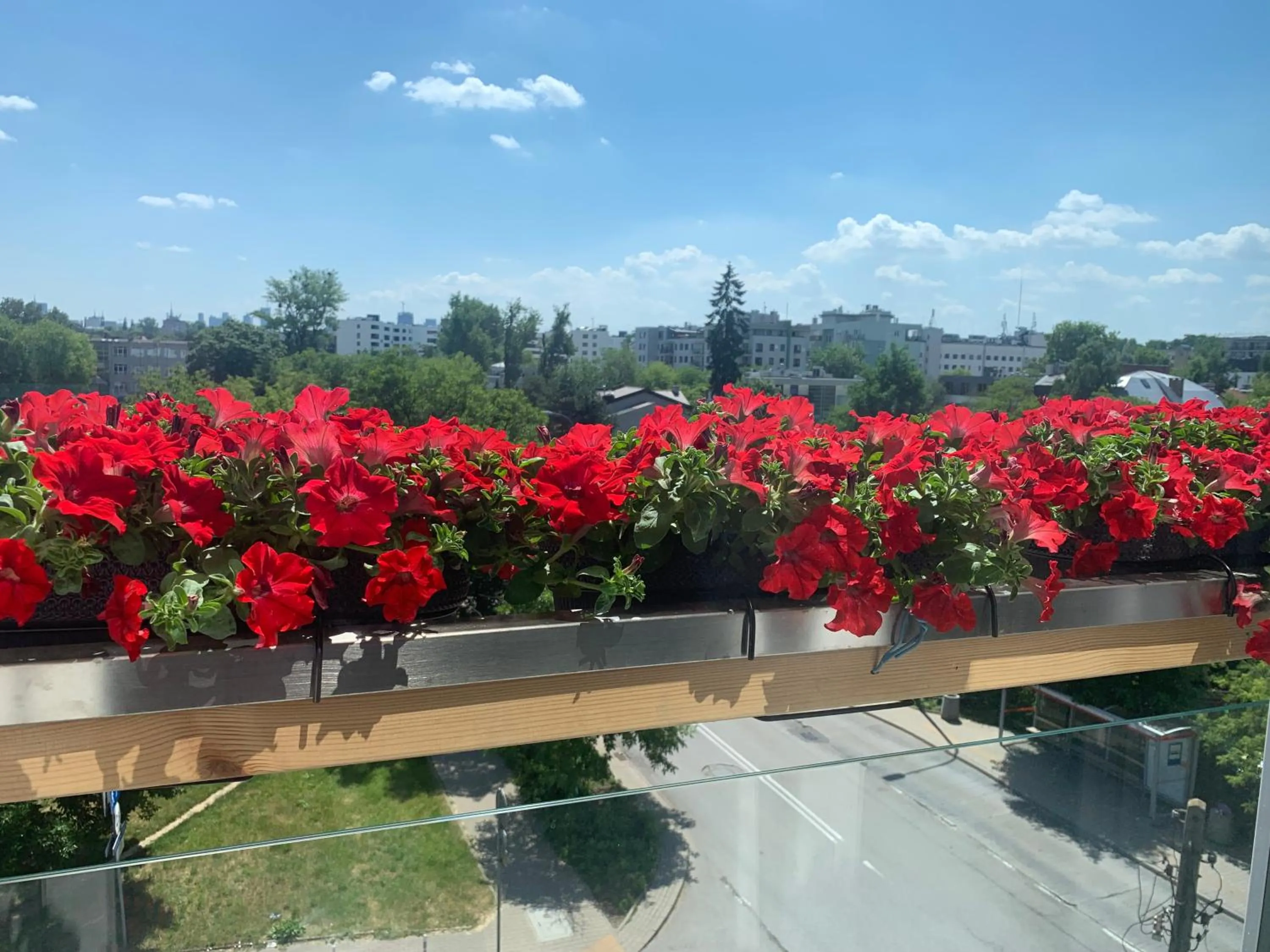 Natural landscape in A&B Willa Klaudyny