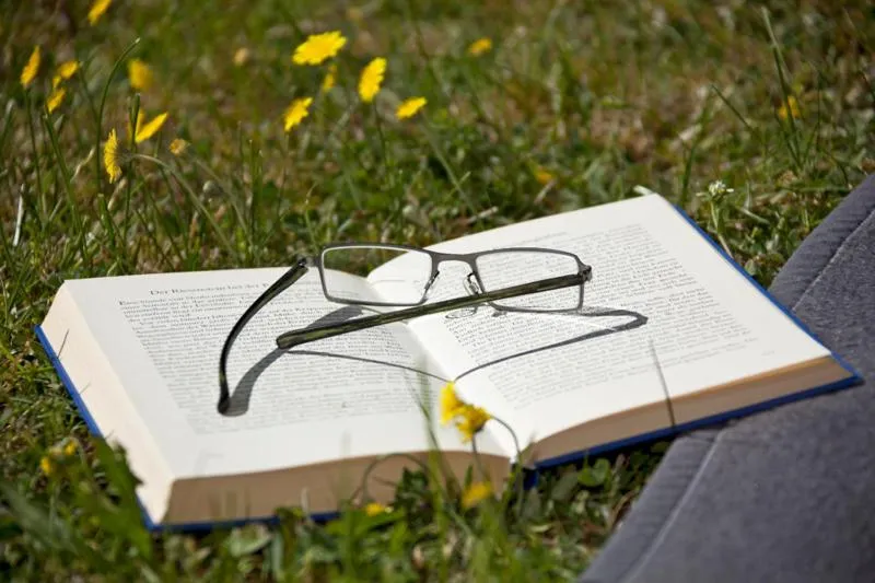 Other in Nationalparkhotel Kranichrast