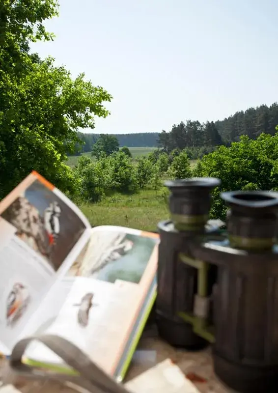 Nationalparkhotel Kranichrast Nationalparkhotel Kranichrast